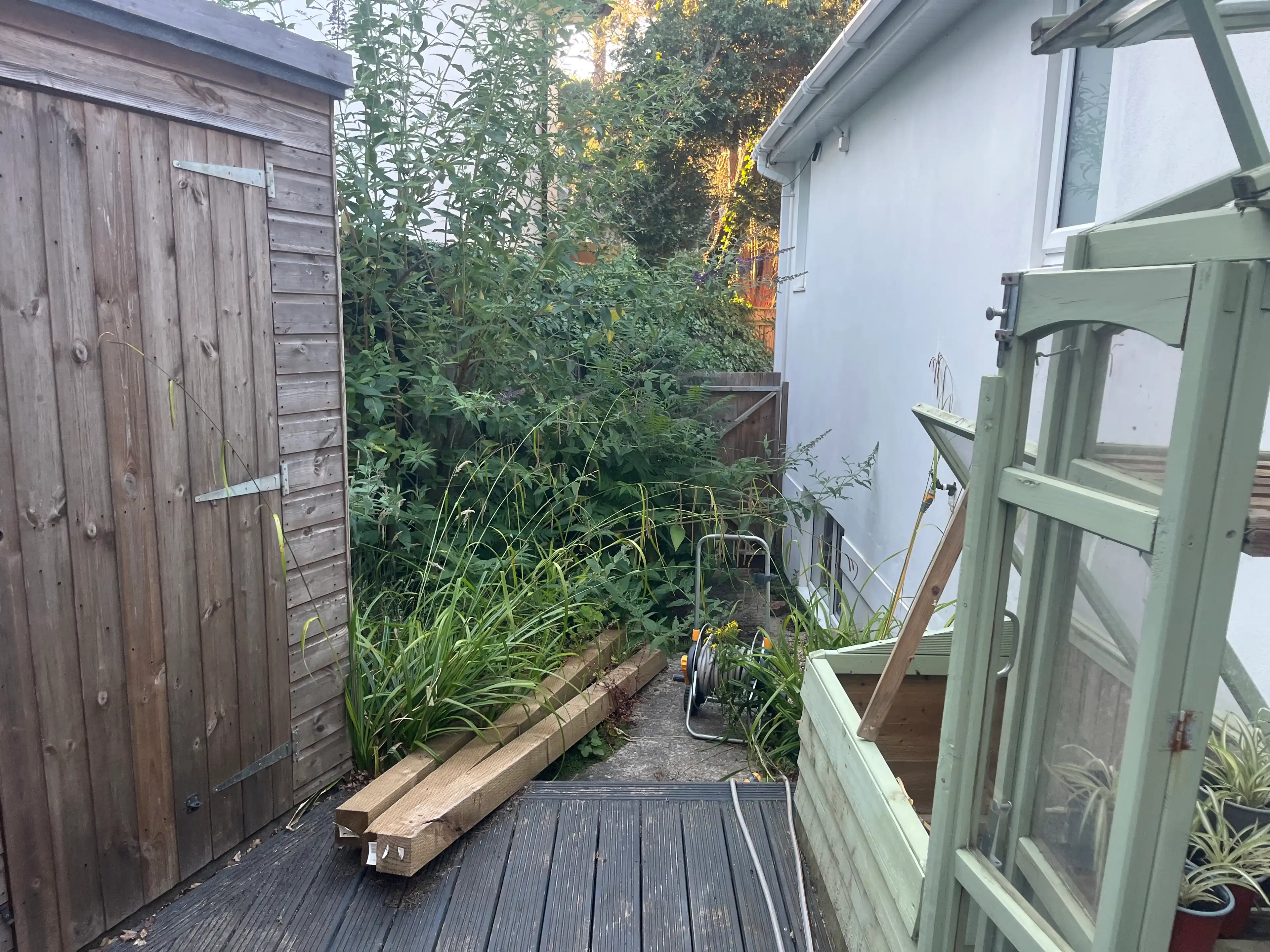 image-11