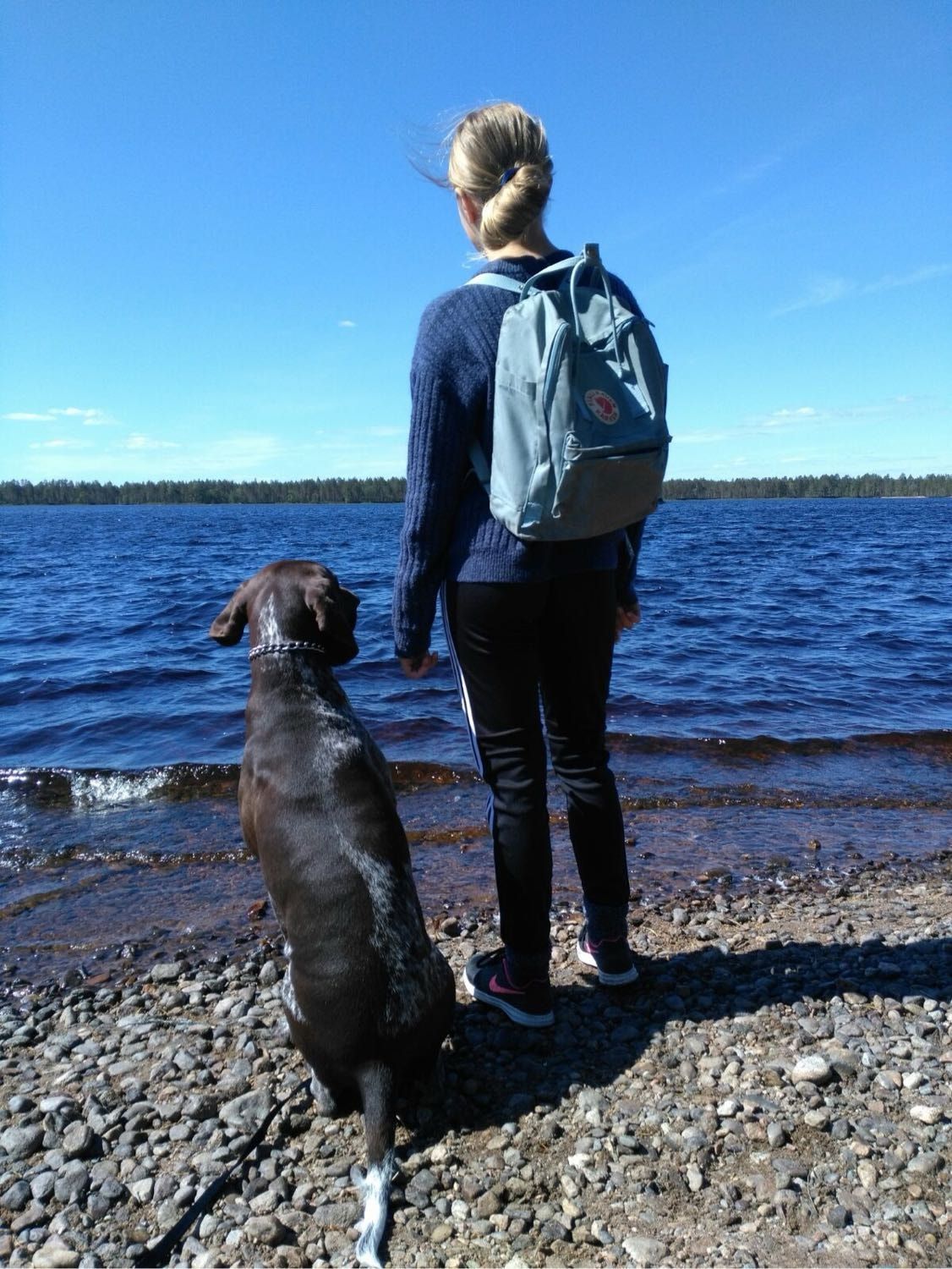 image-5