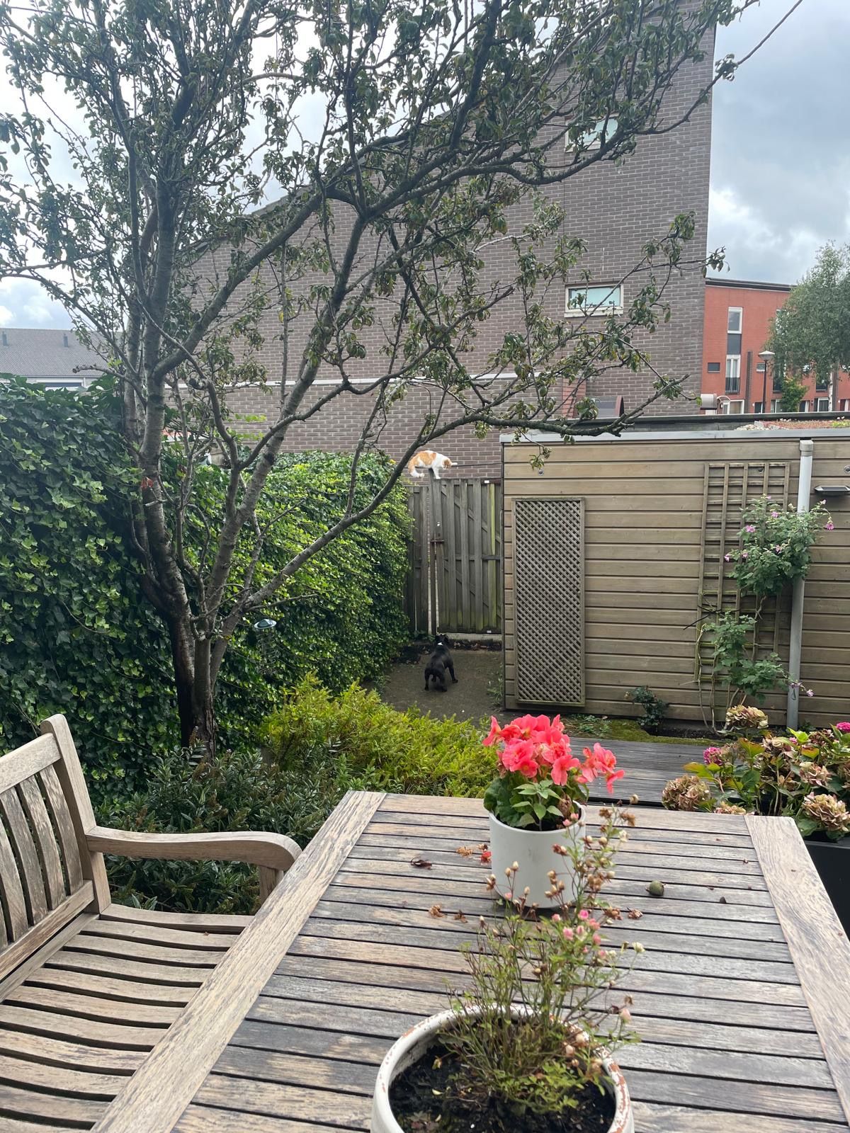image-15
