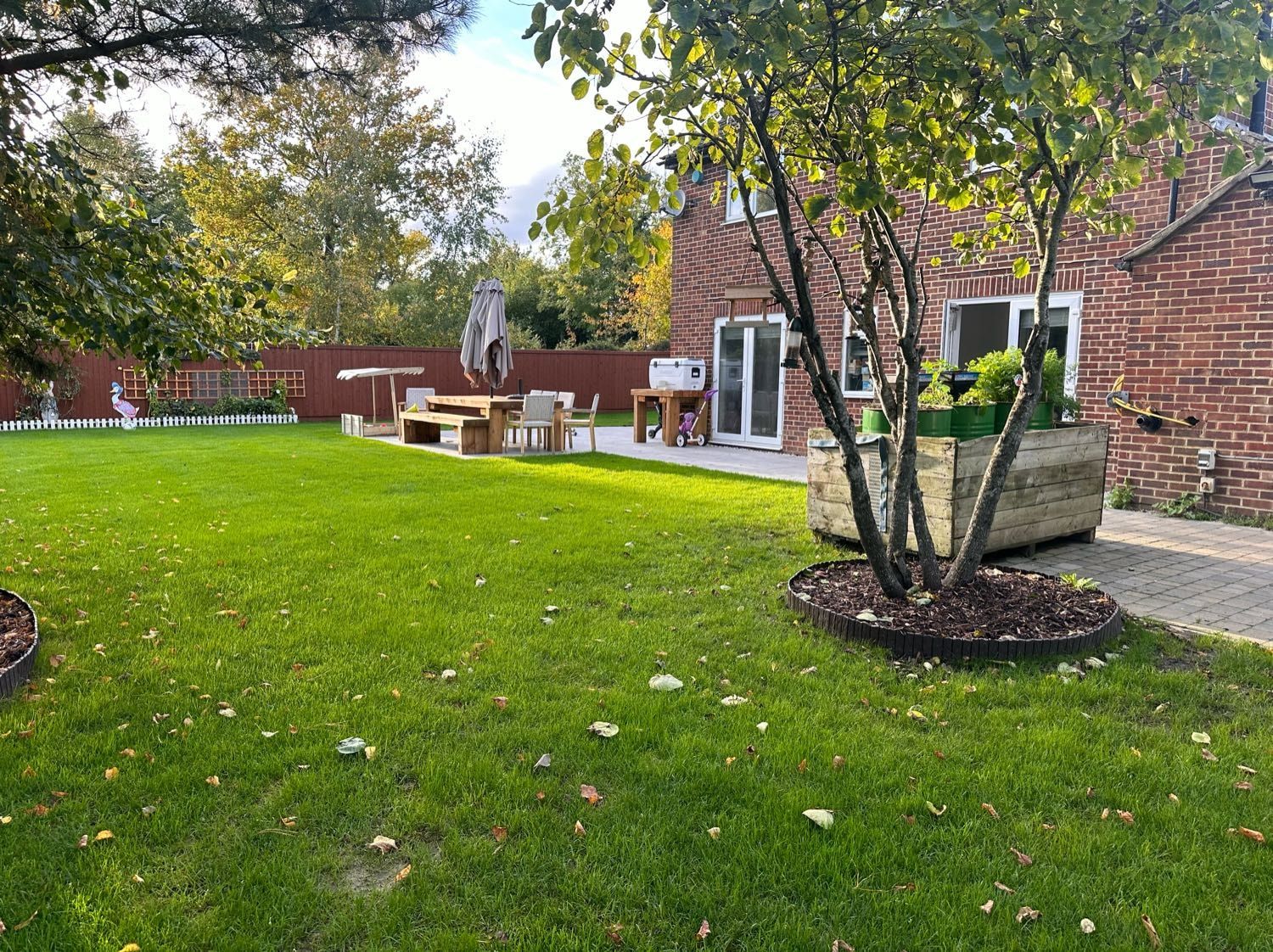 image-11