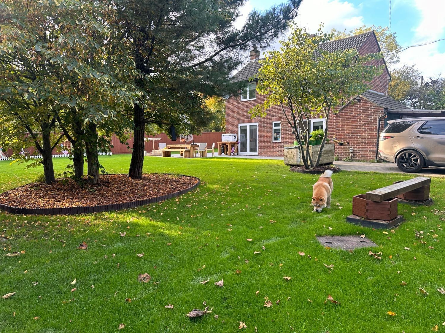 image-13