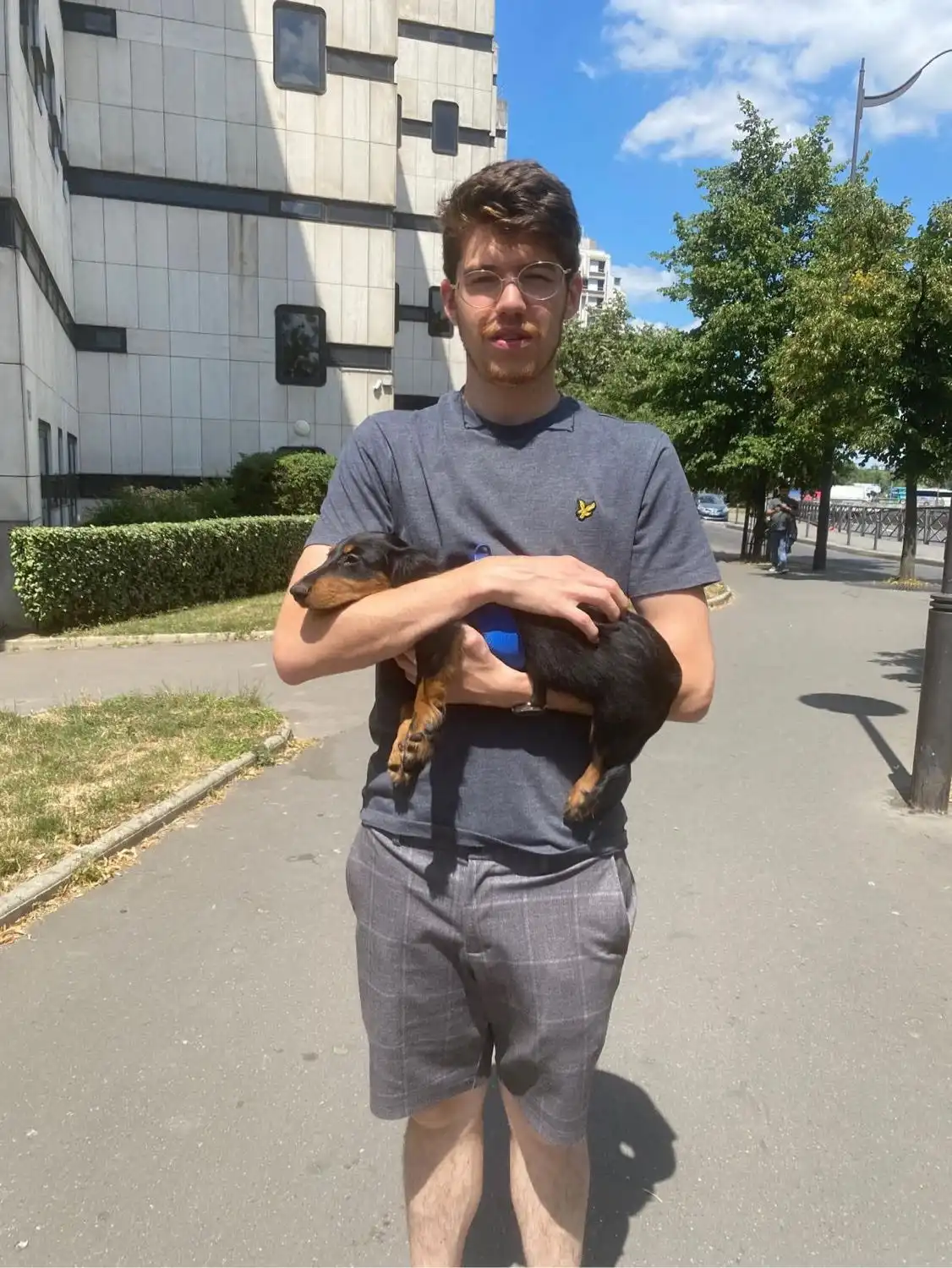 image-6
