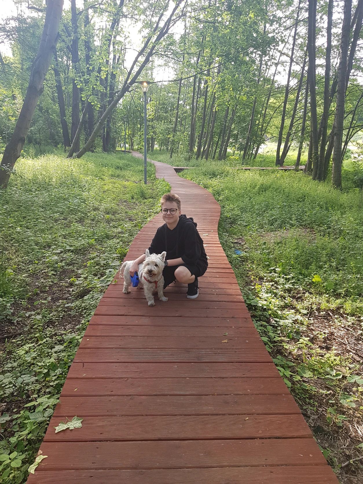 image-3