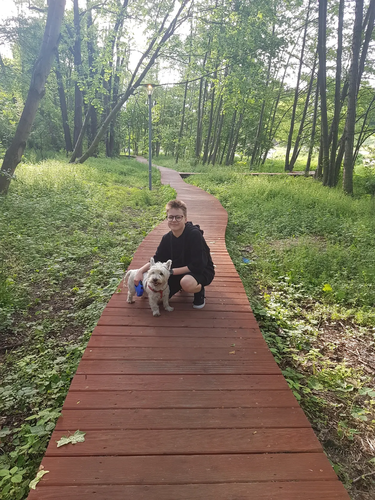image-3