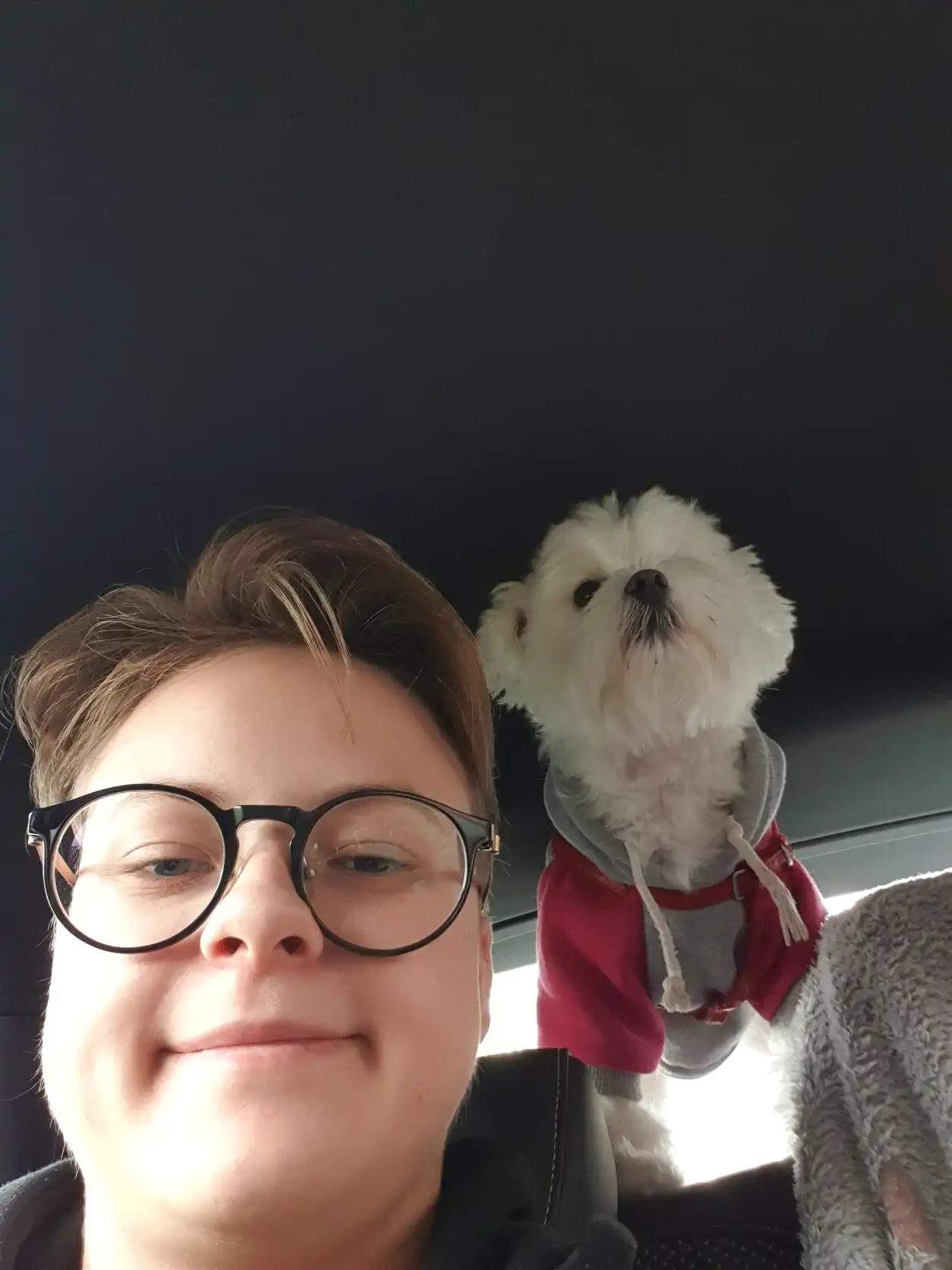 image-6