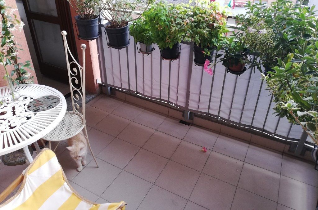 image-19