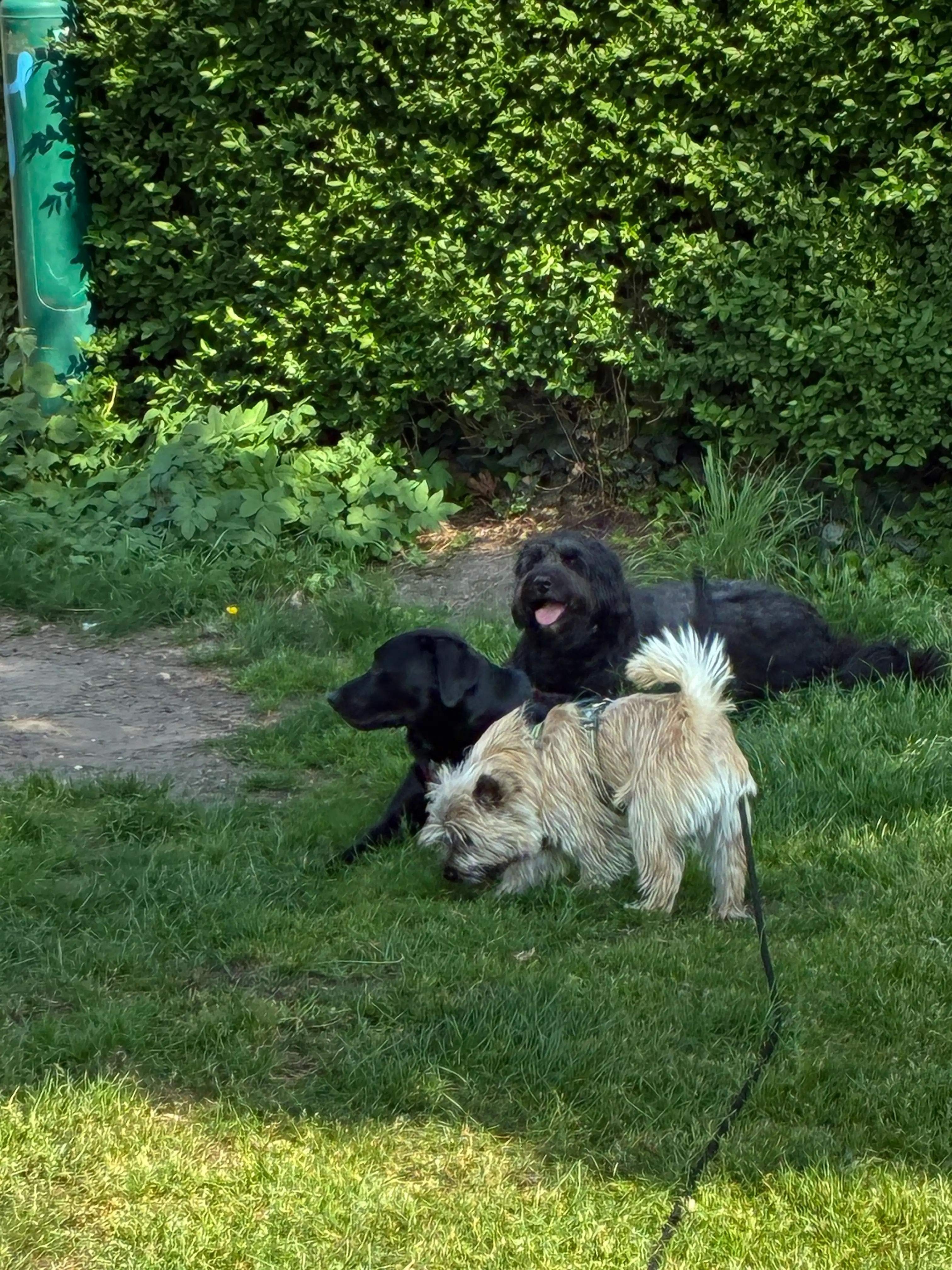 image-18