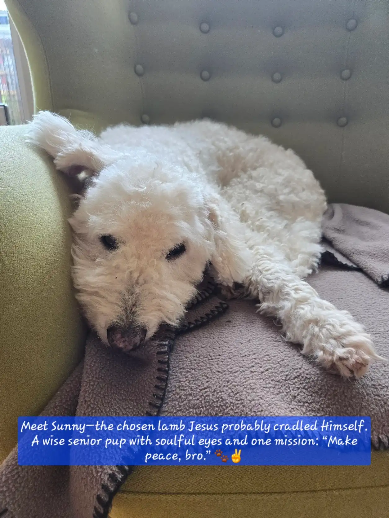 image-30