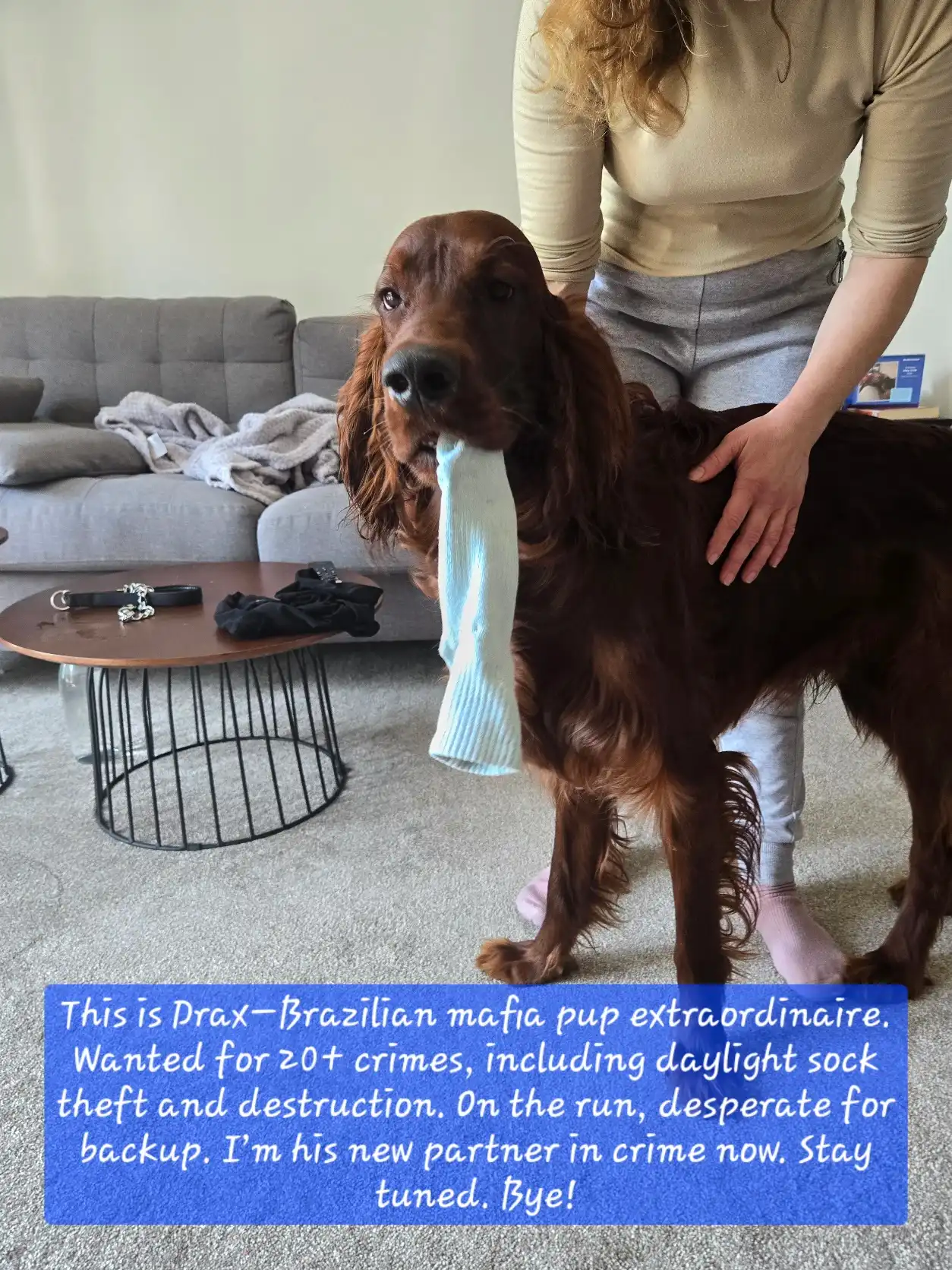 image-31