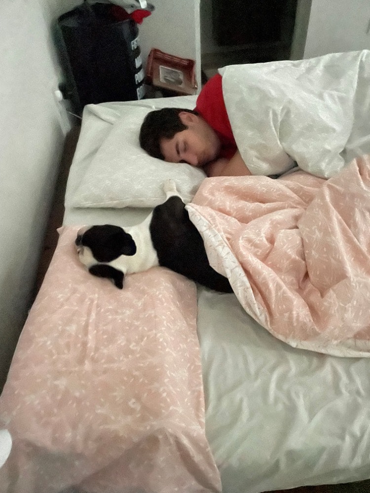 image-8