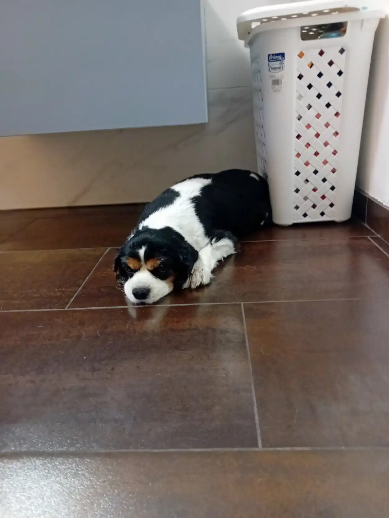 image-12