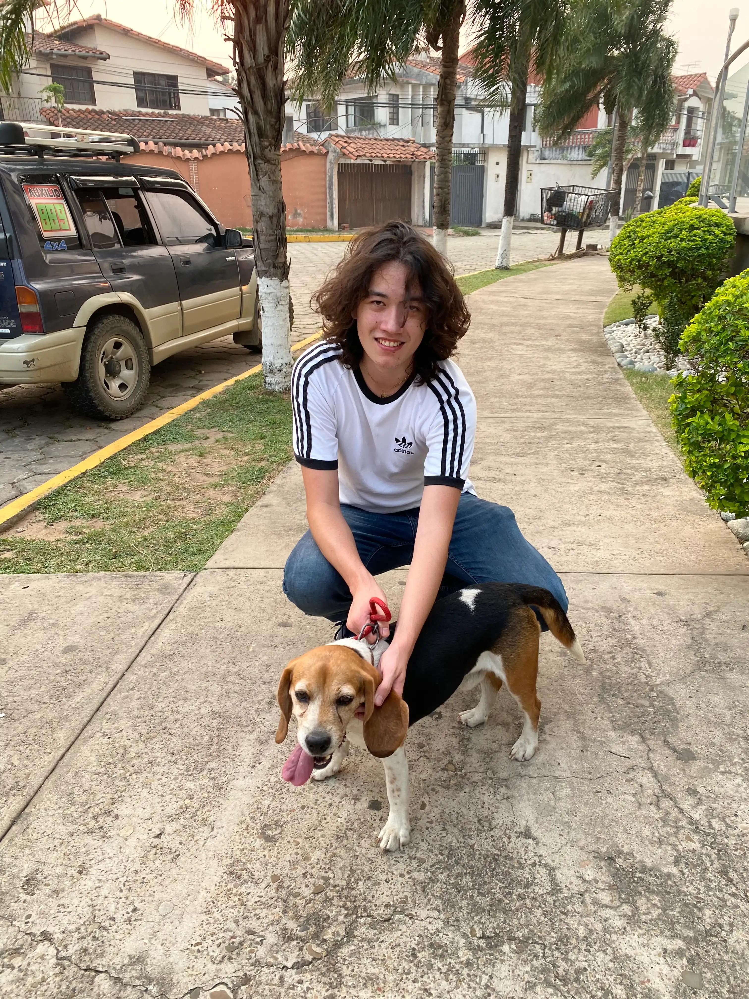 image-7