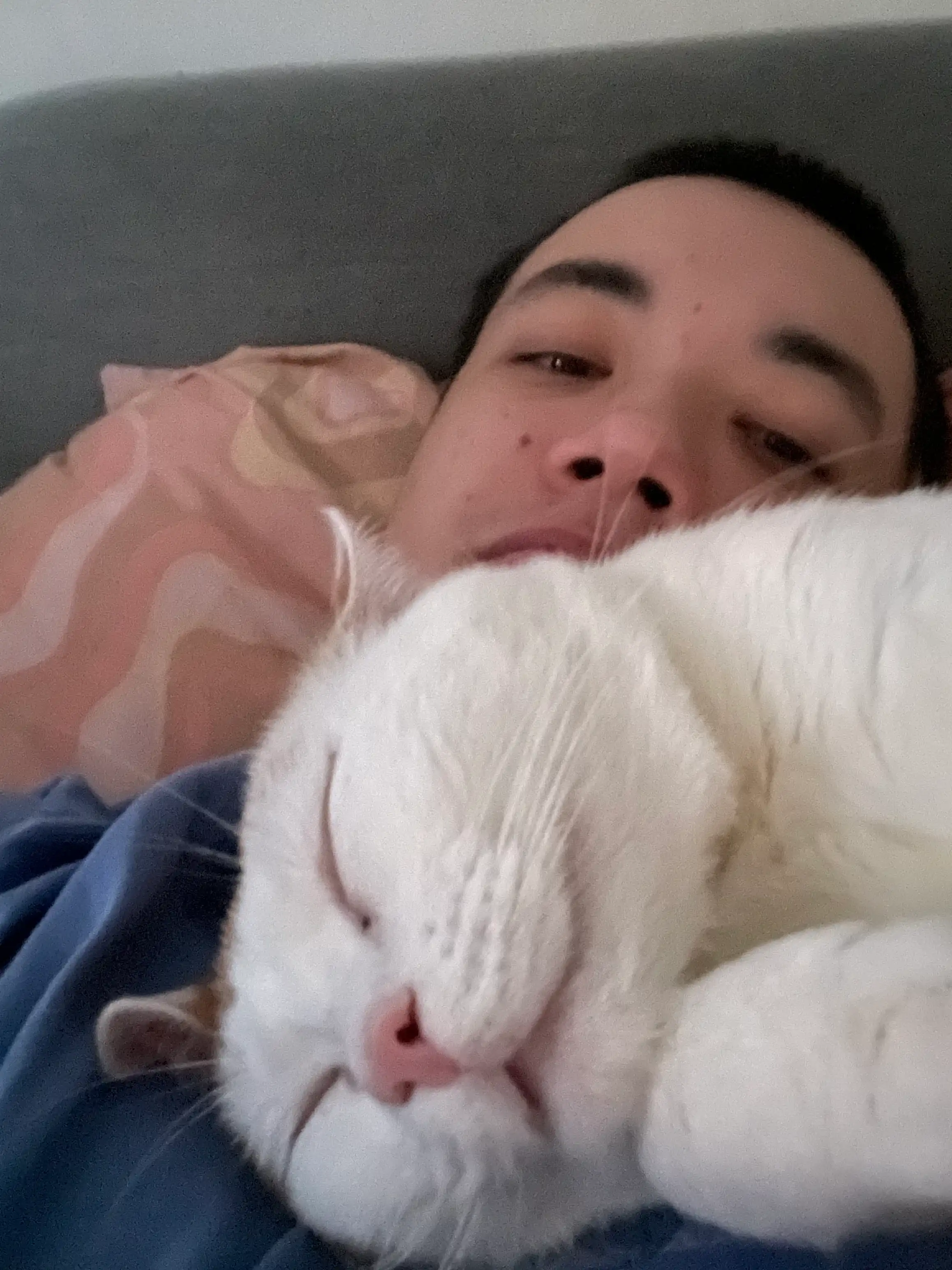 image-8