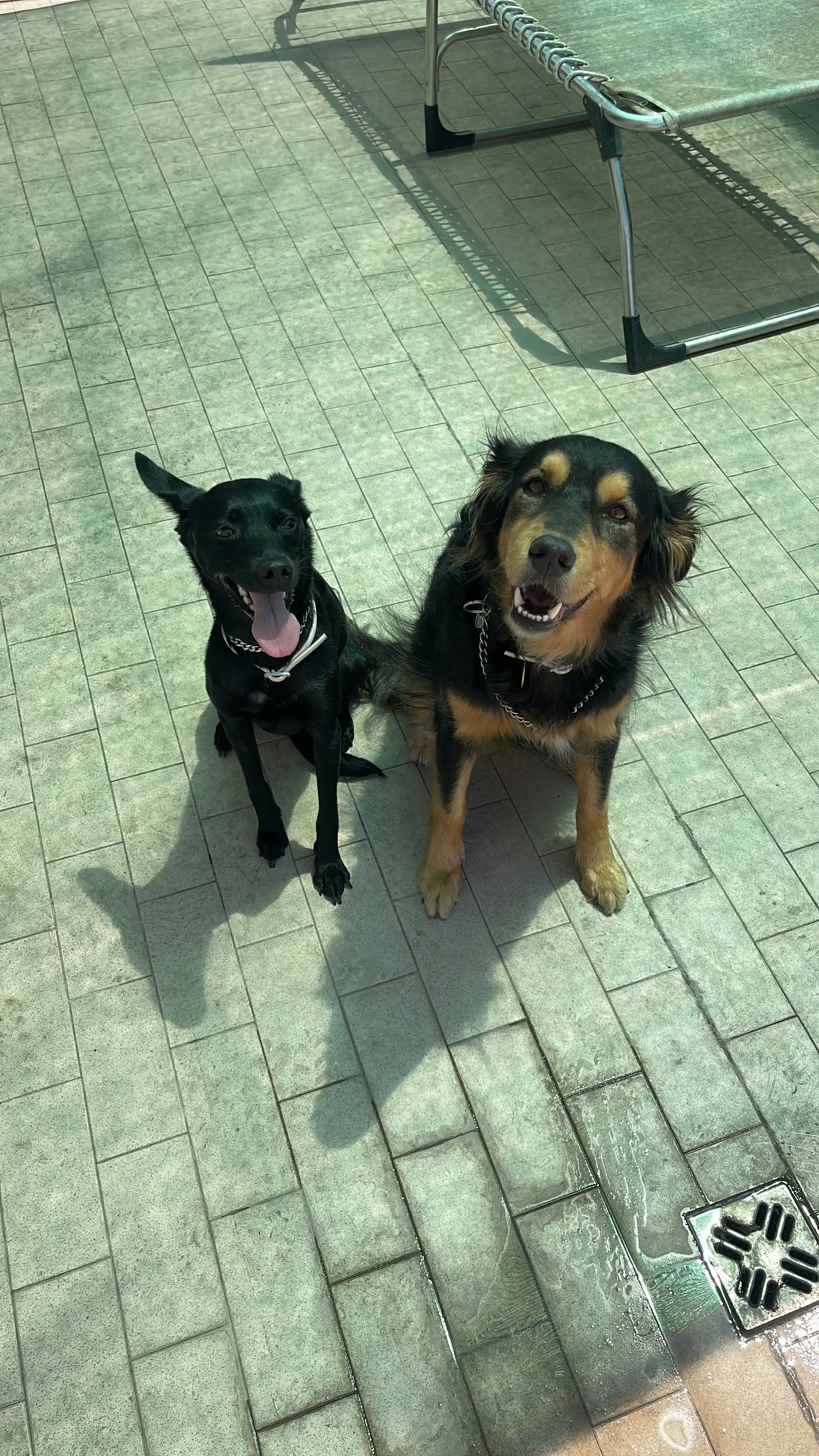 image-41