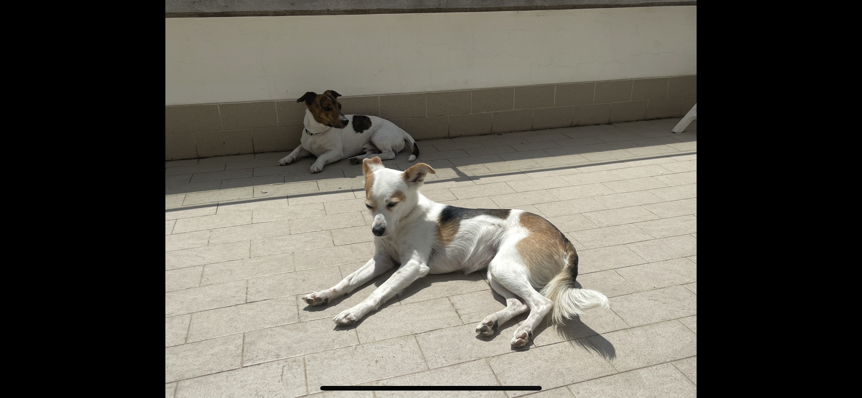 image-39