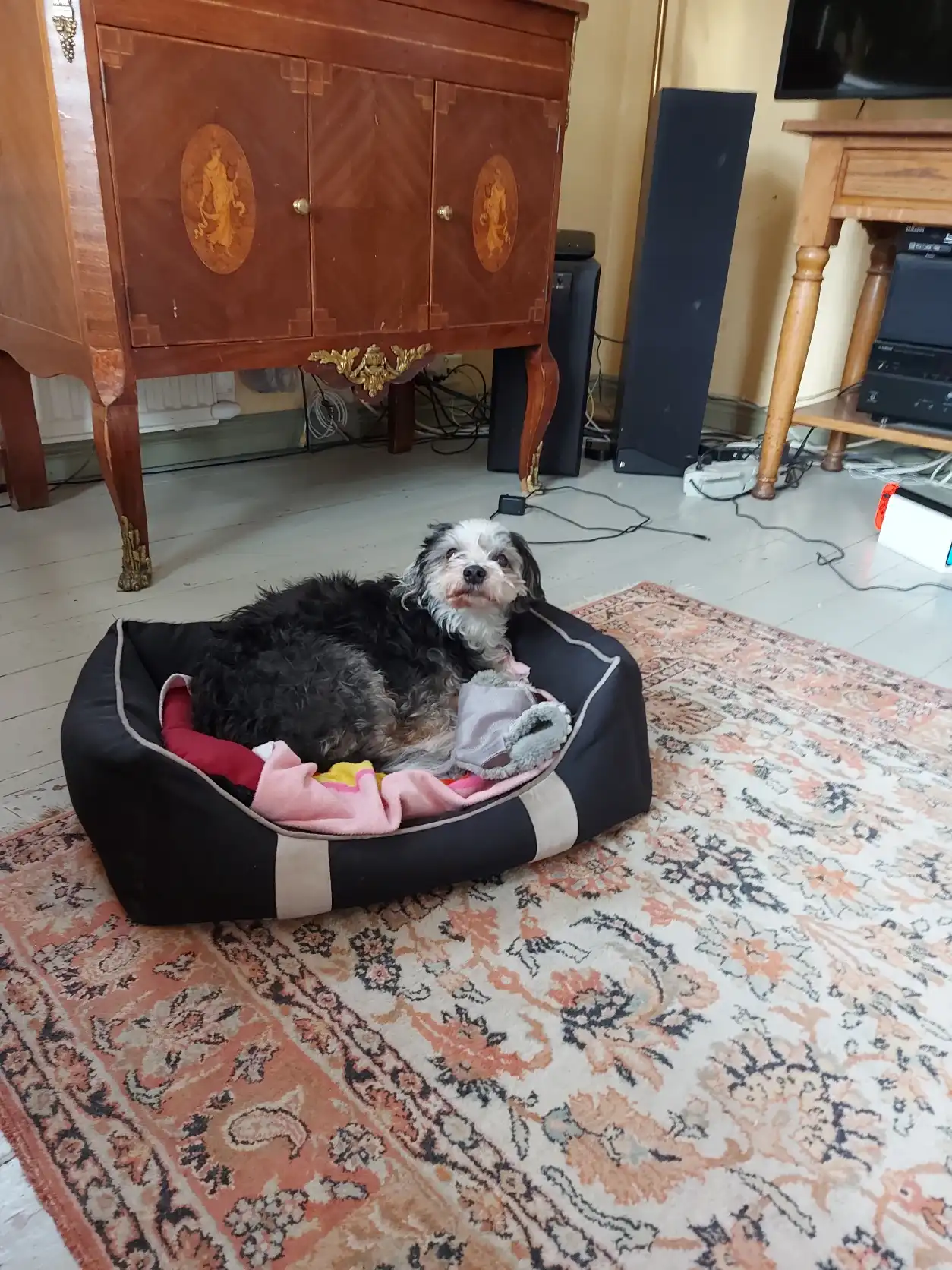 image-13