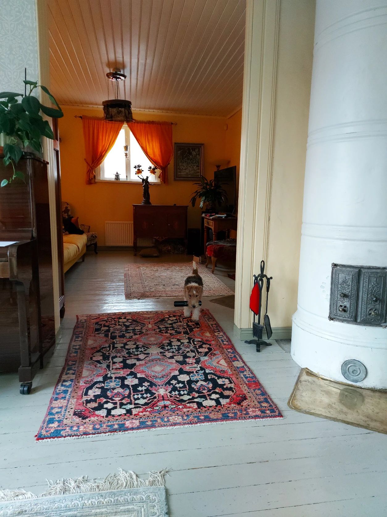 image-11