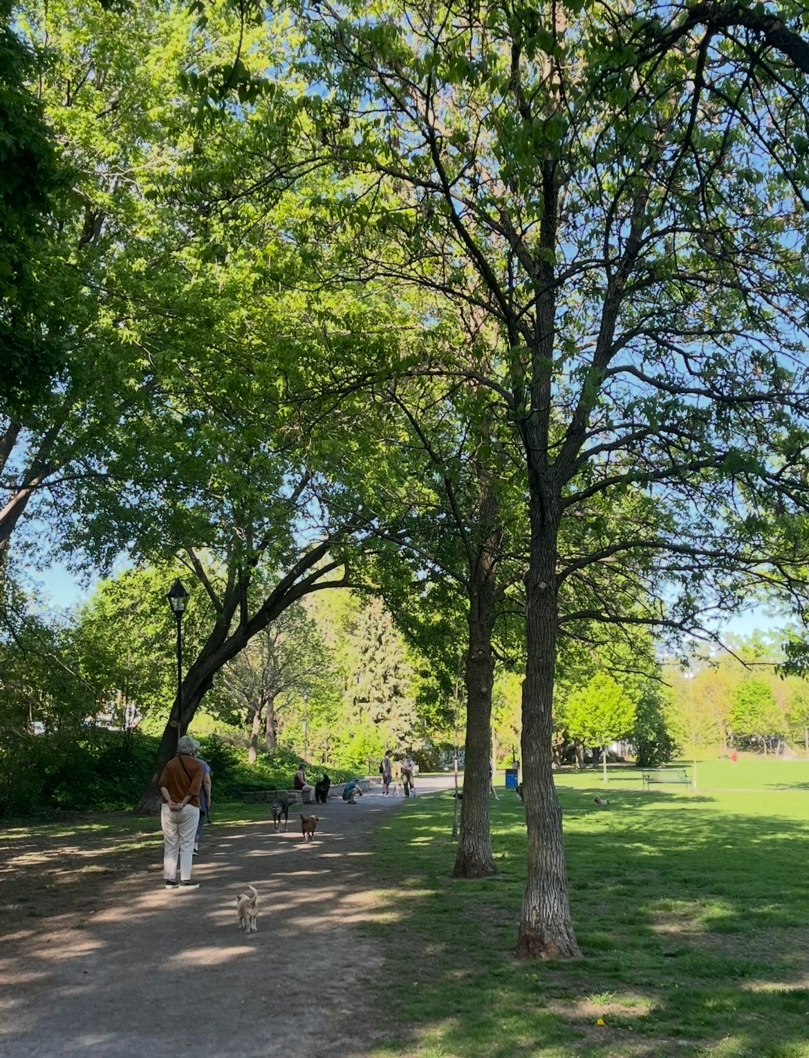 image-12