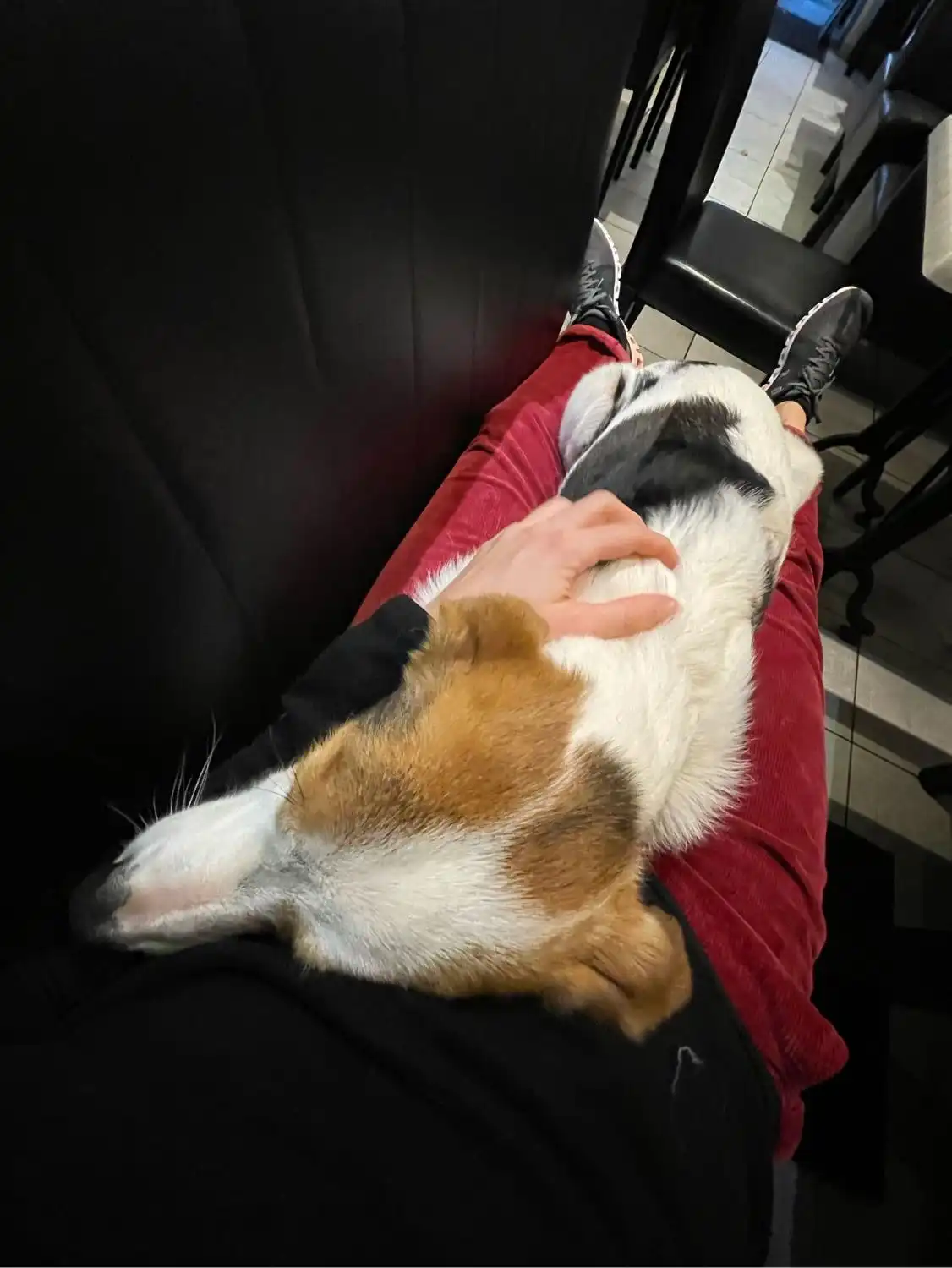 image-9