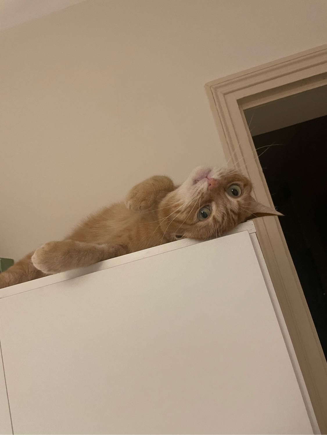 image-6