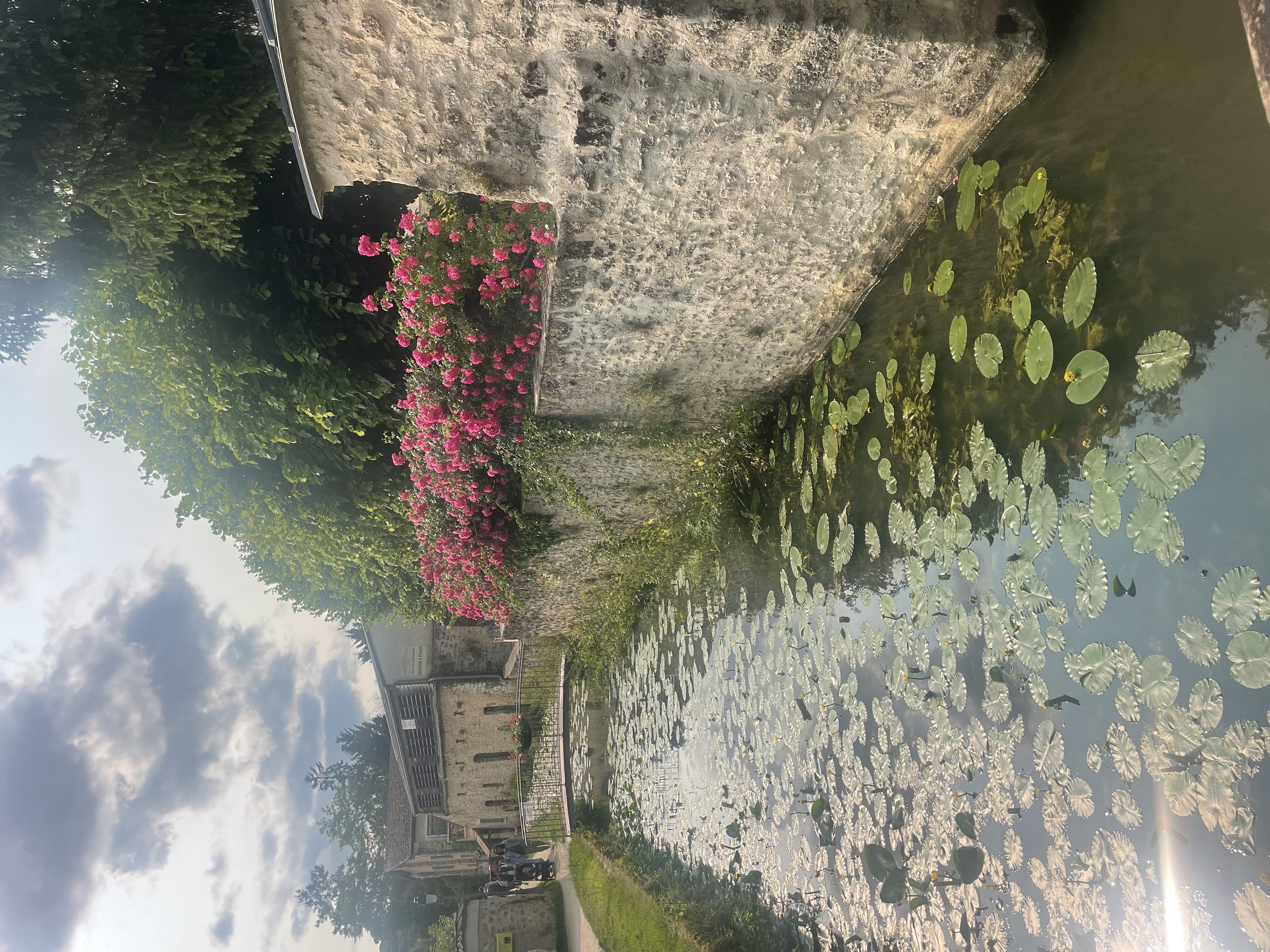image-24