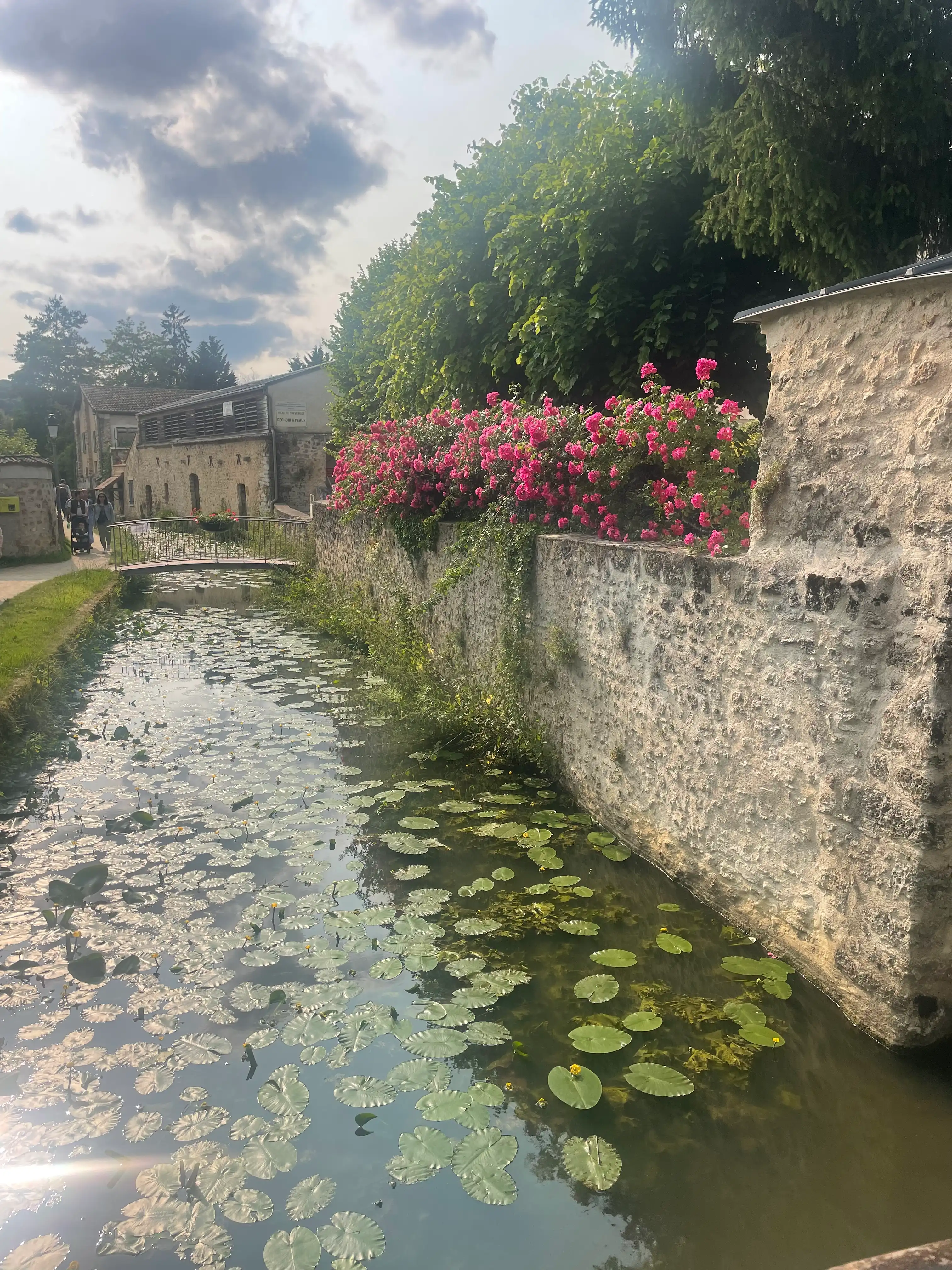 image-24