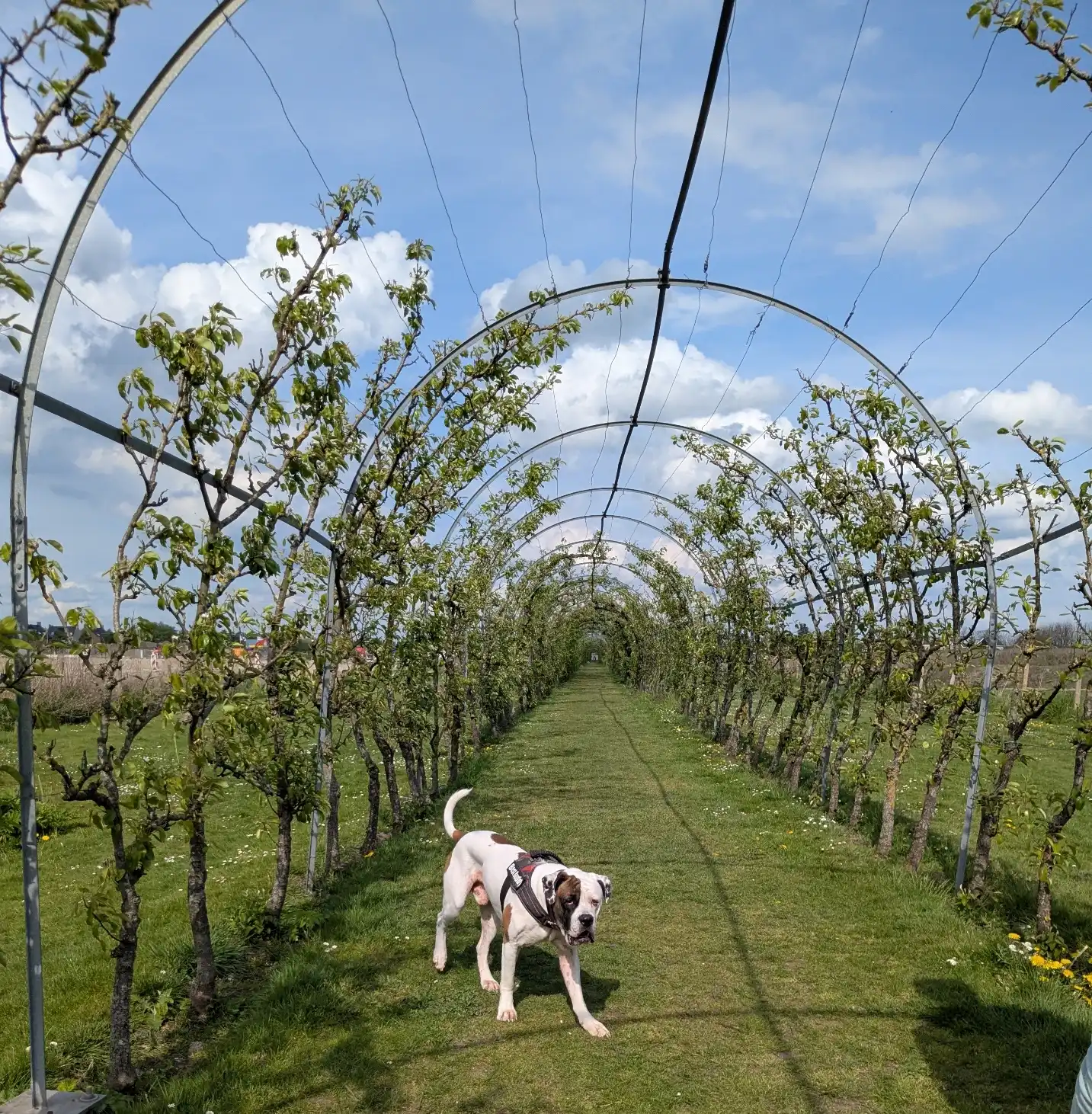 image-15