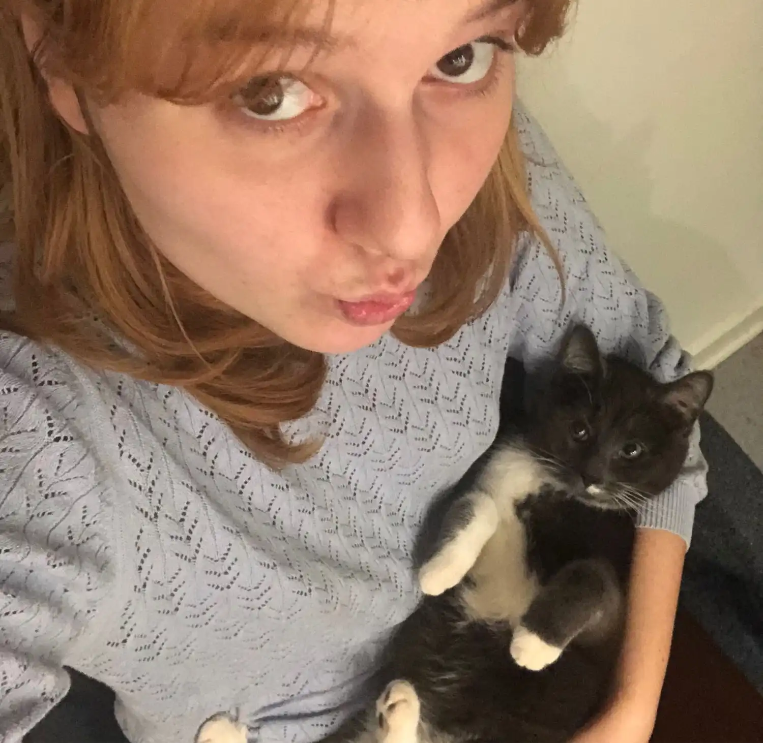 image-6