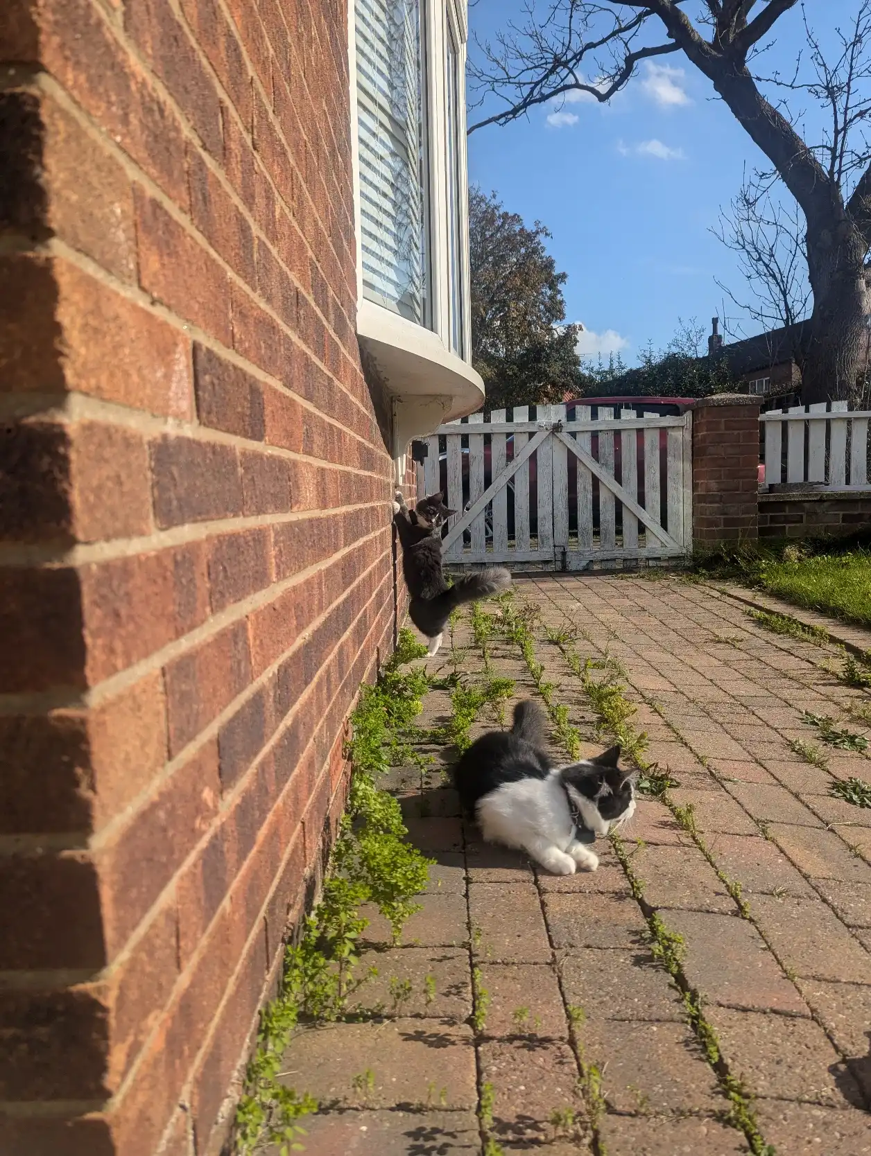 image-15