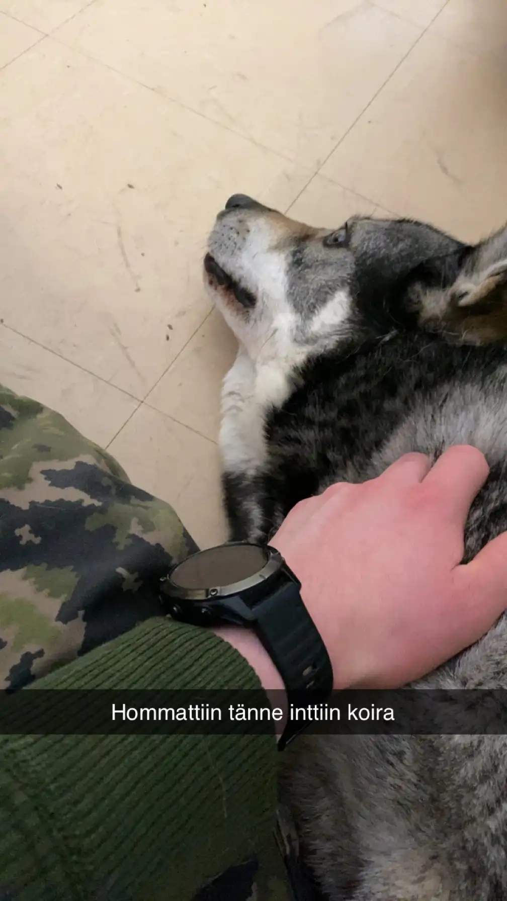 image-7