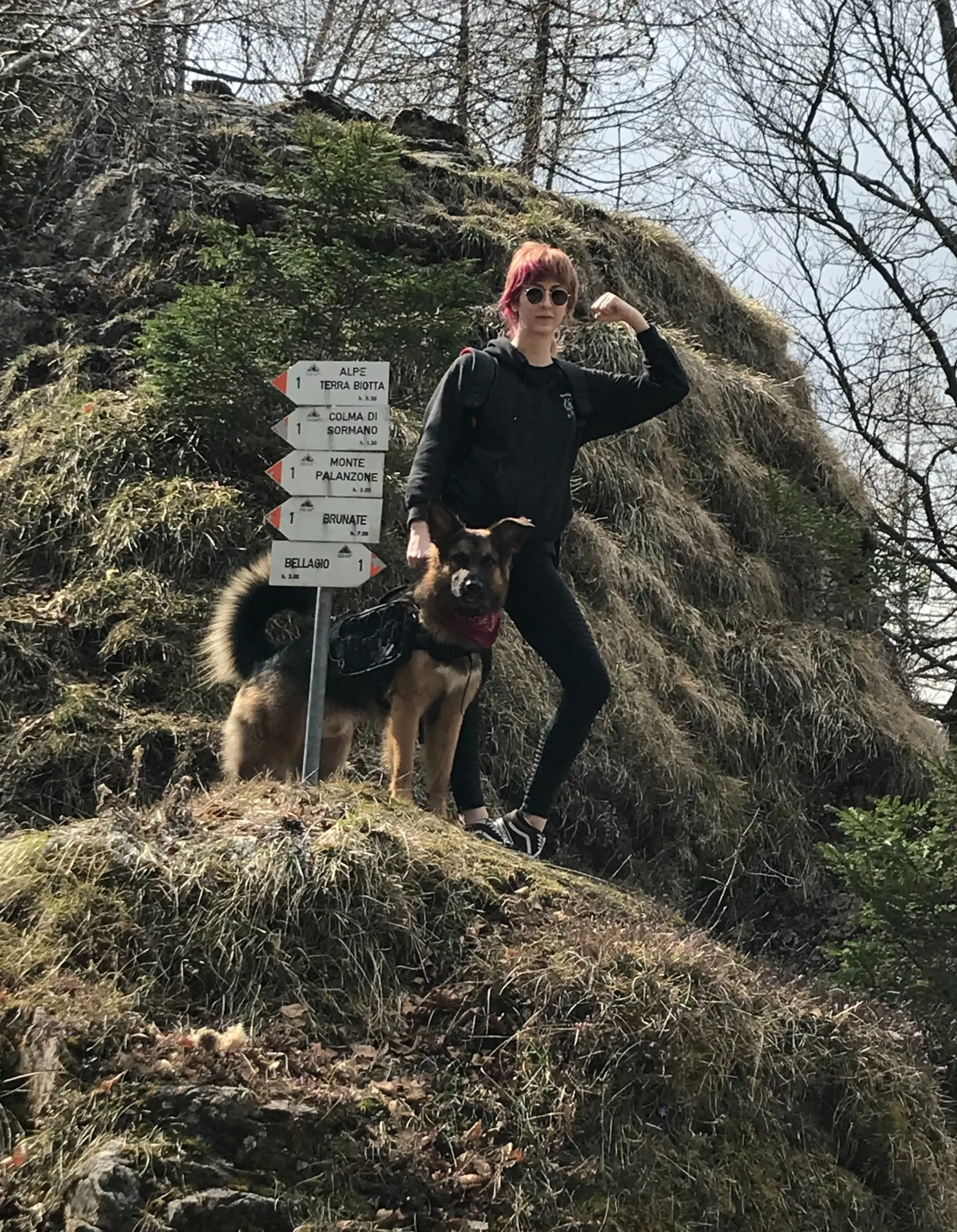 image-6