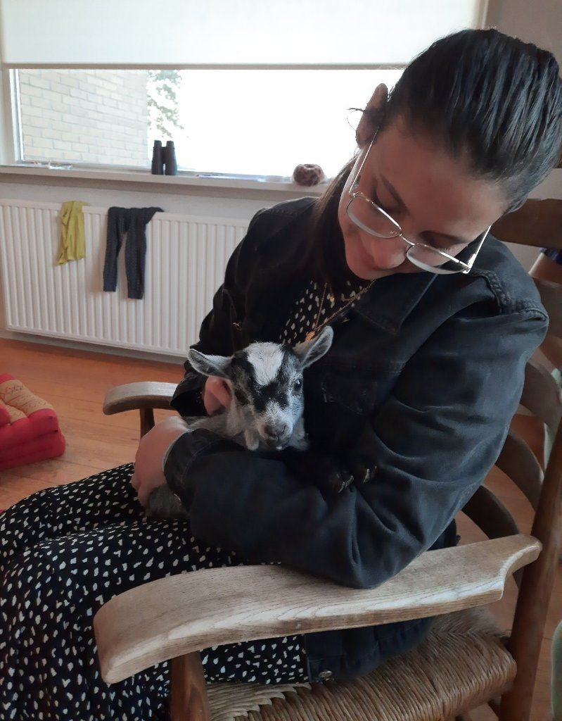 image-6