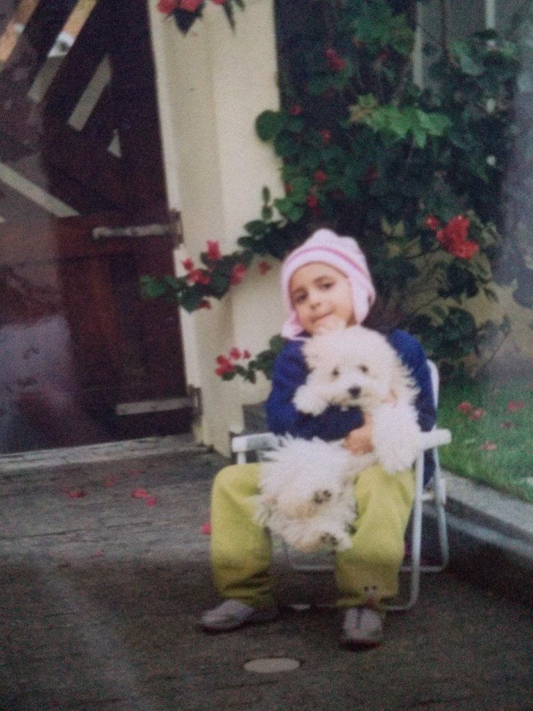 image-8