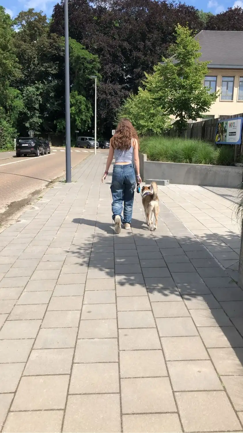 image-14