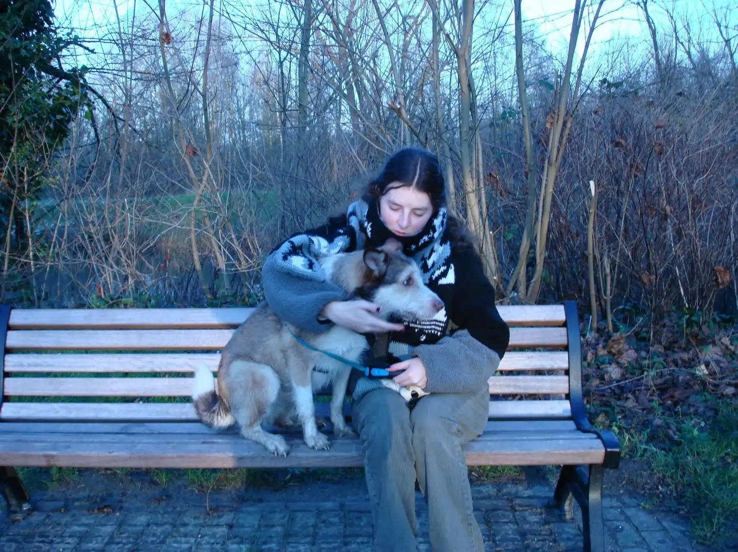 image-8