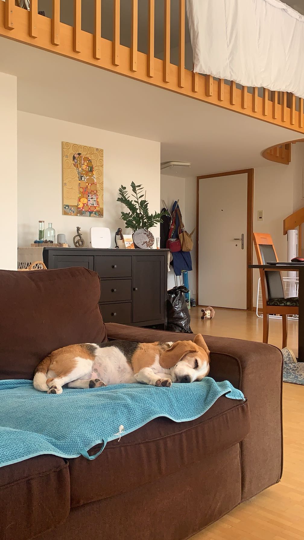 image-17