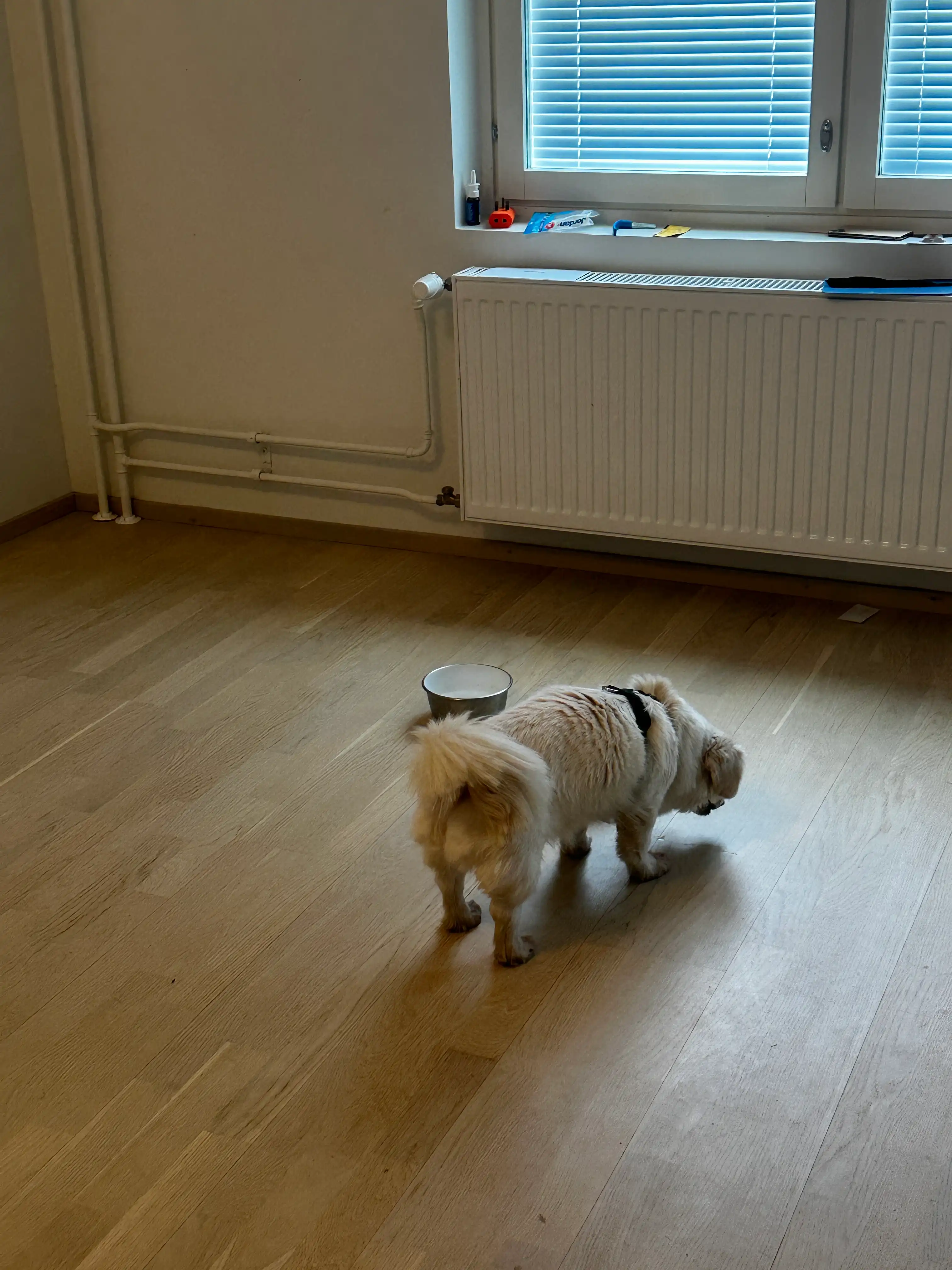 image-12