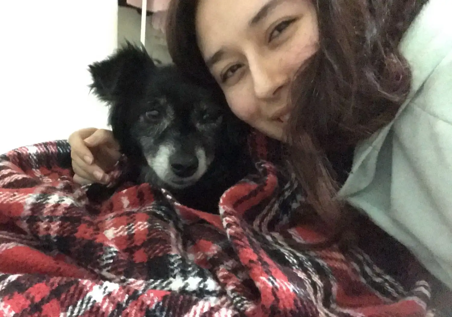 image-7