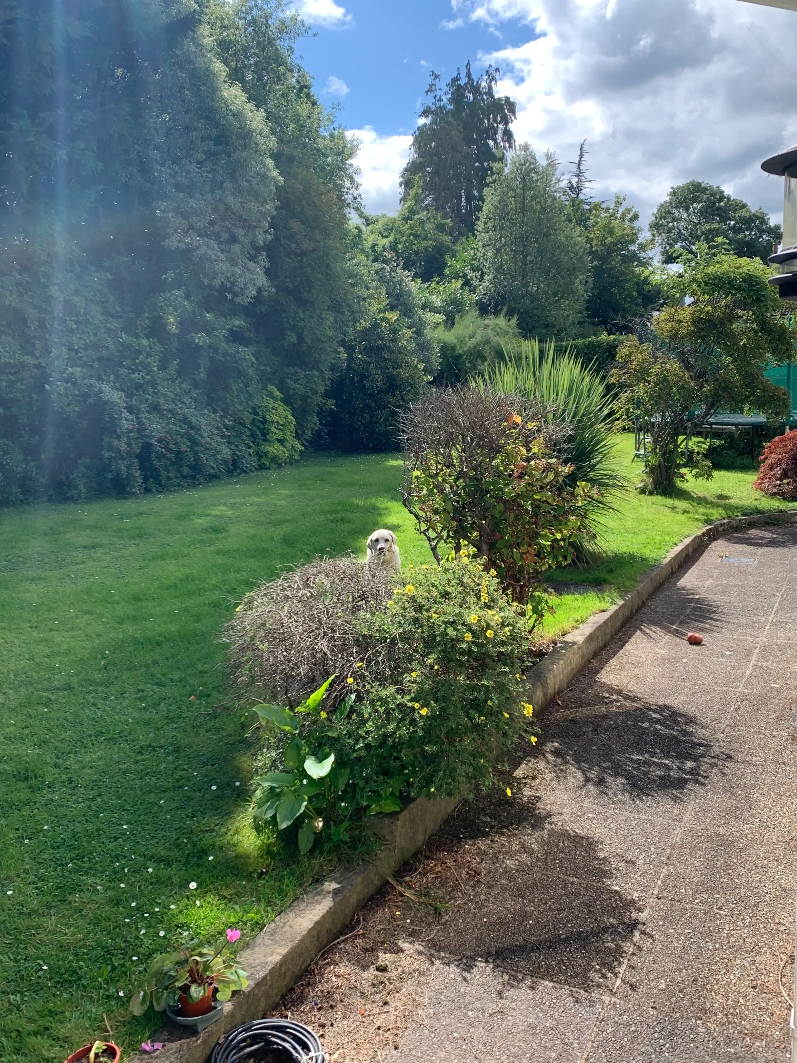 image-11