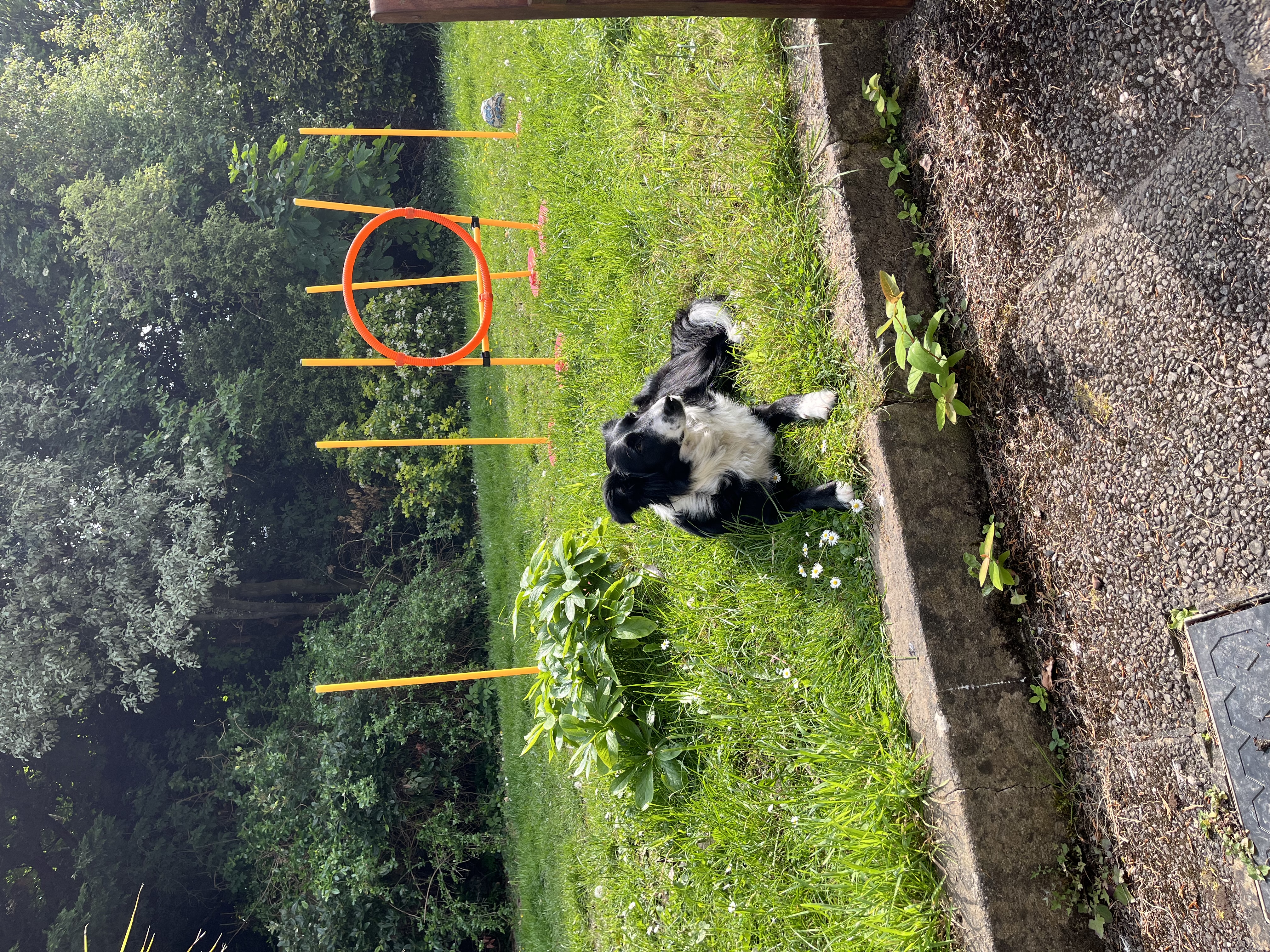 image-13