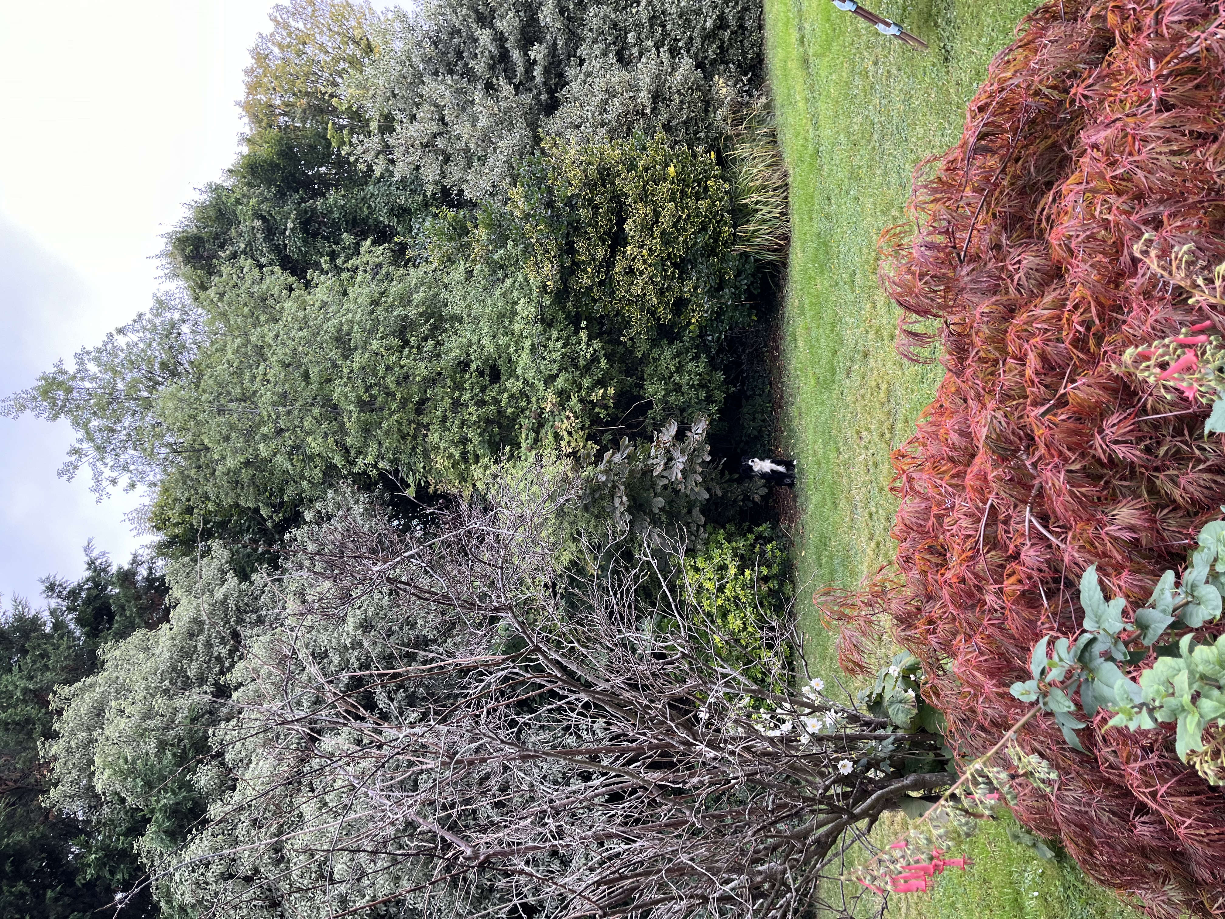 image-15