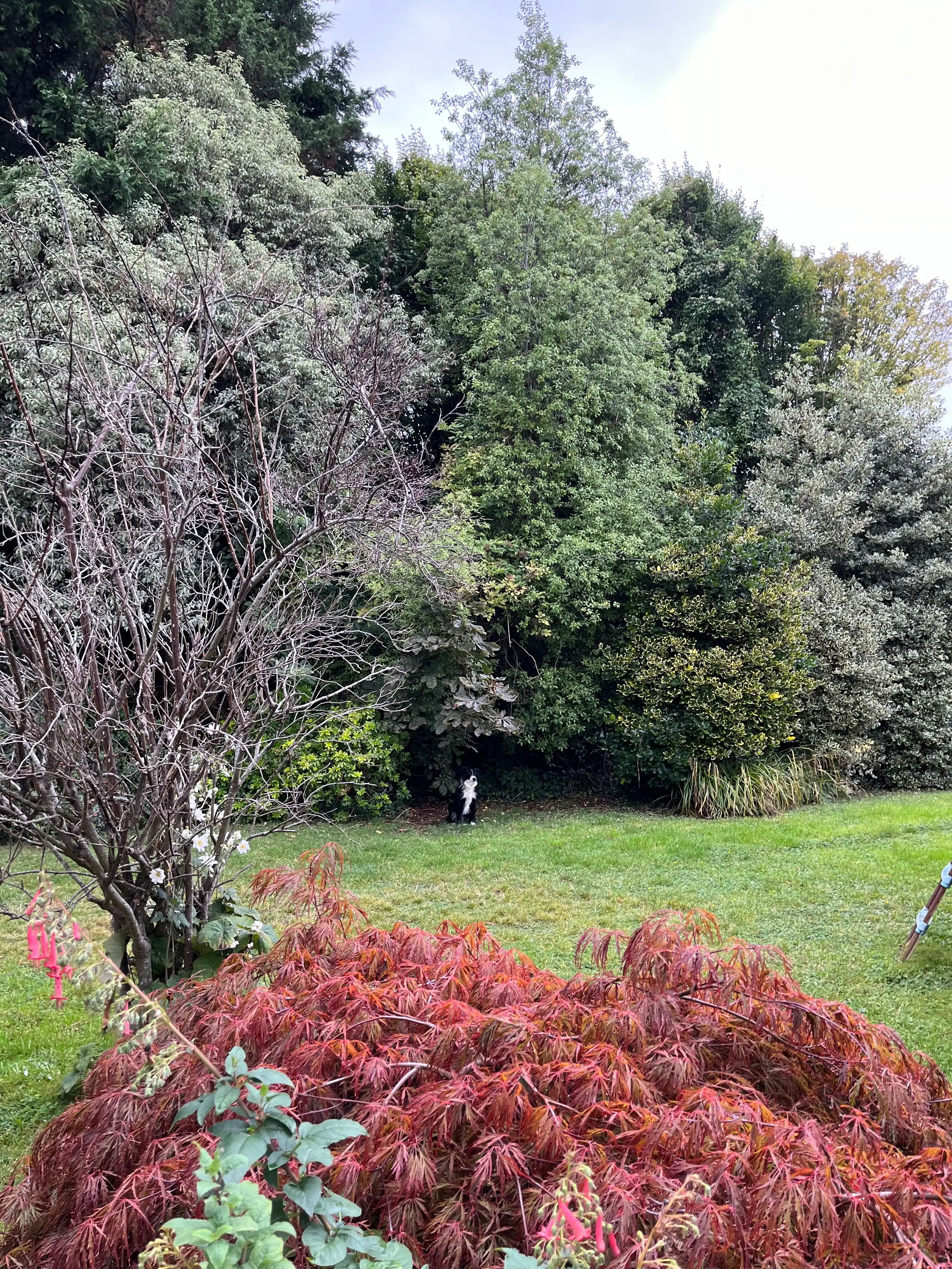 image-15