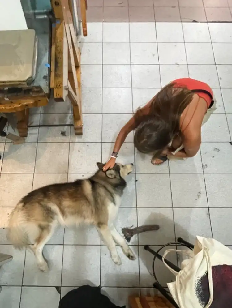 image-10