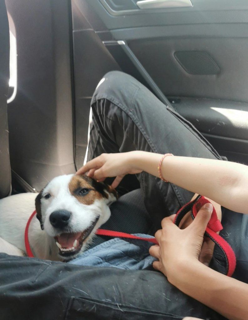 image-5