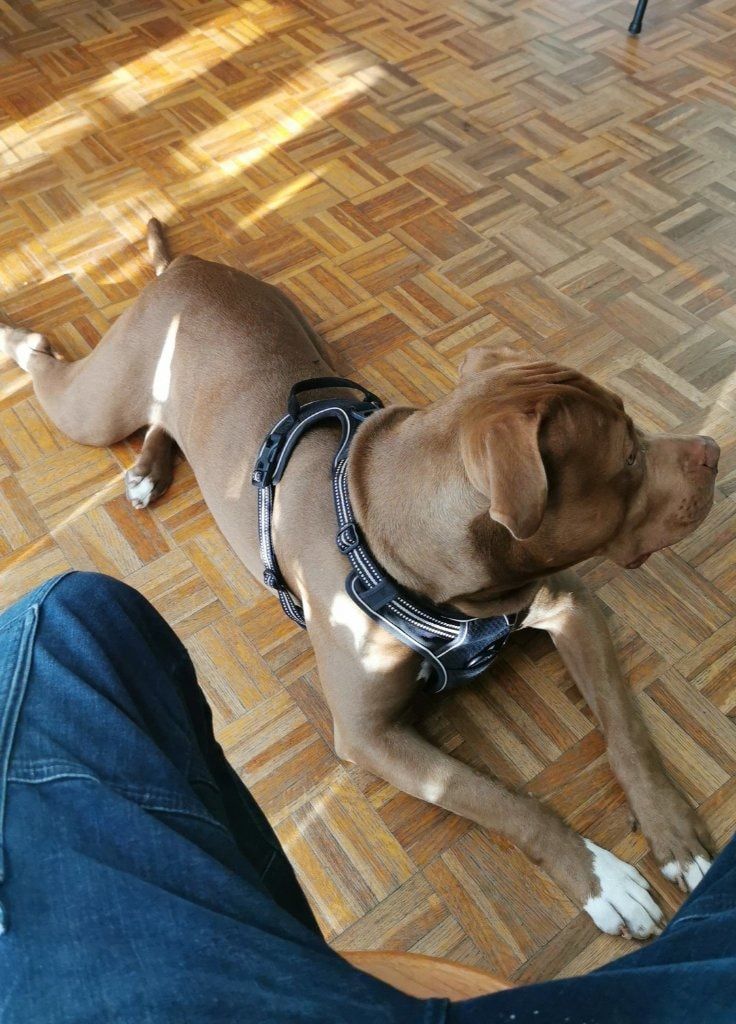 image-4