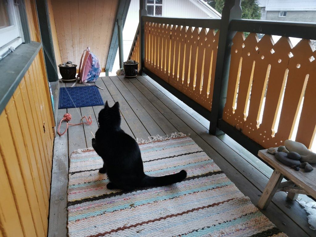 image-5