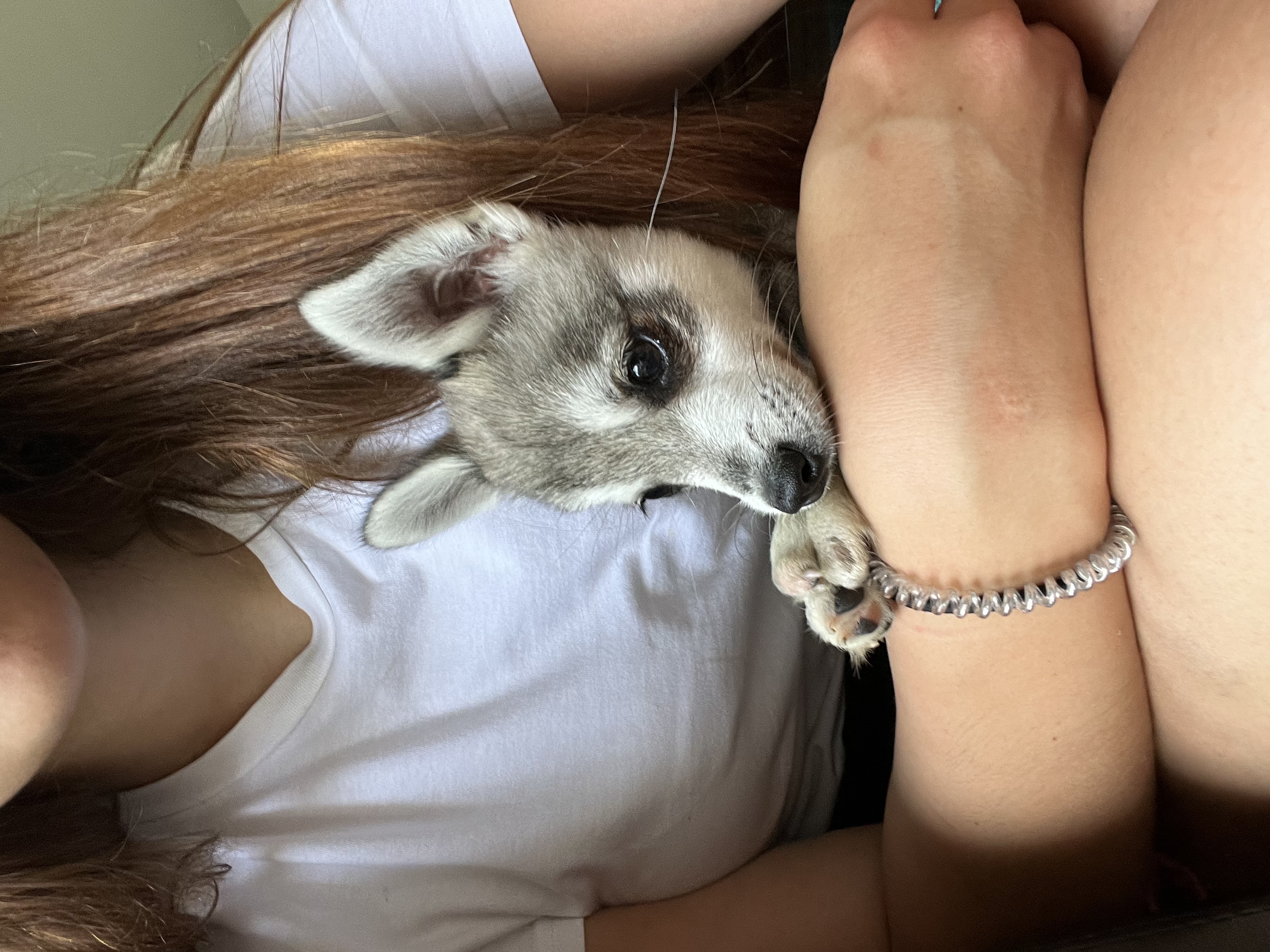 image-9