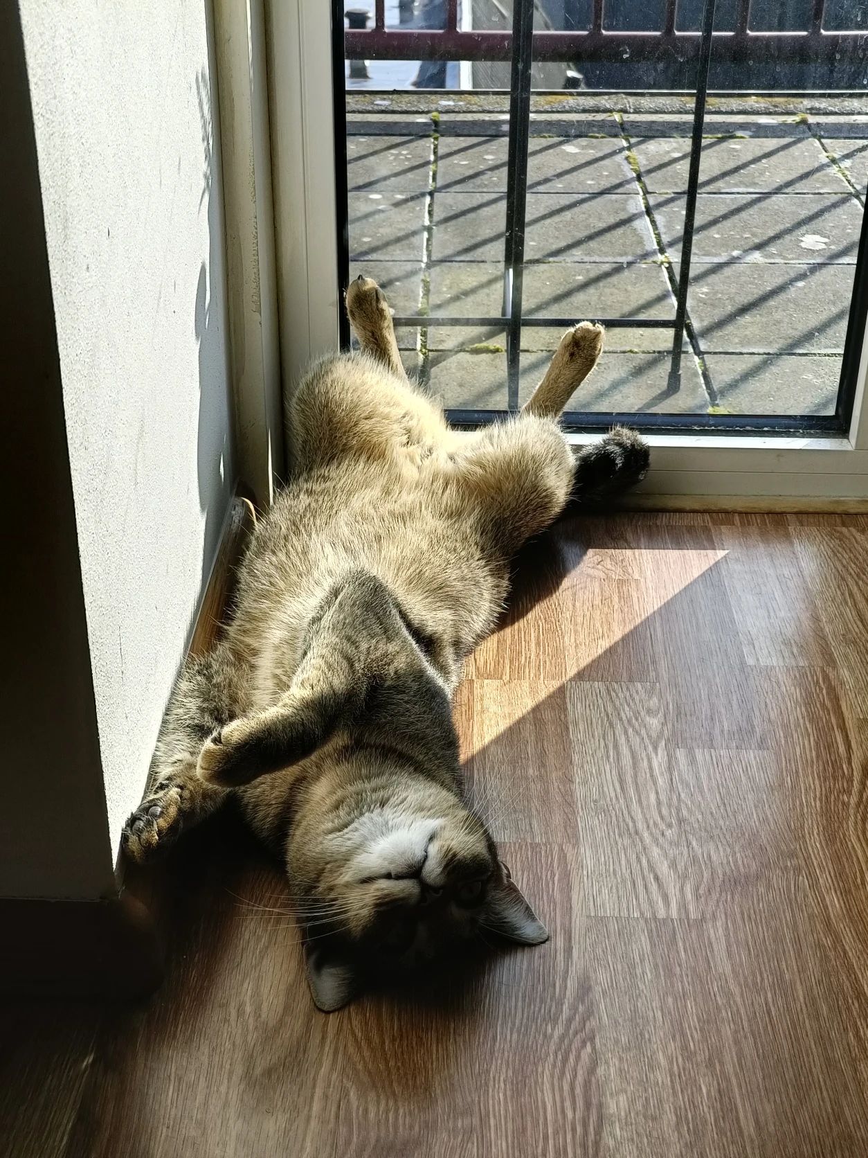 image-11