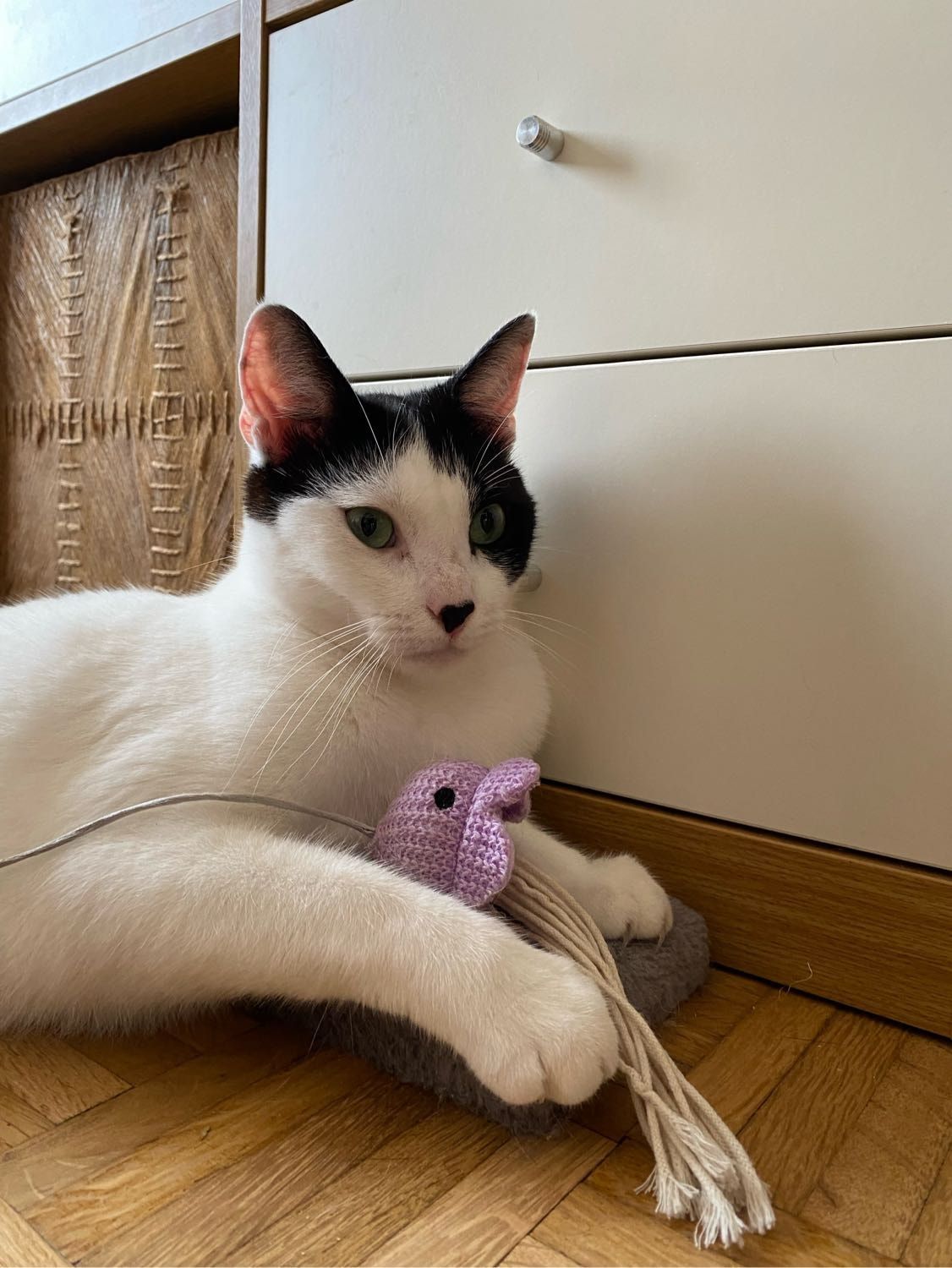 image-16