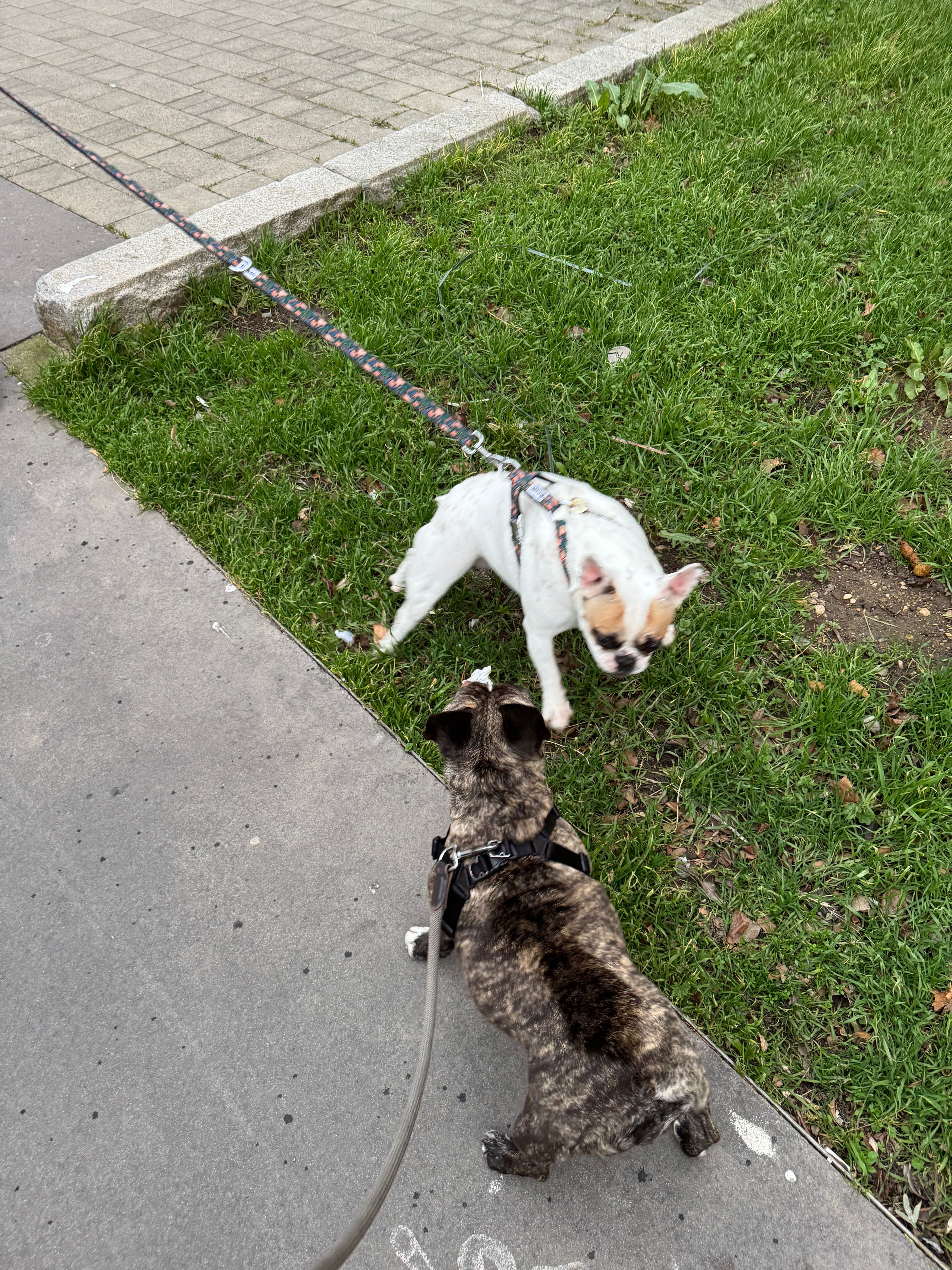 image-18
